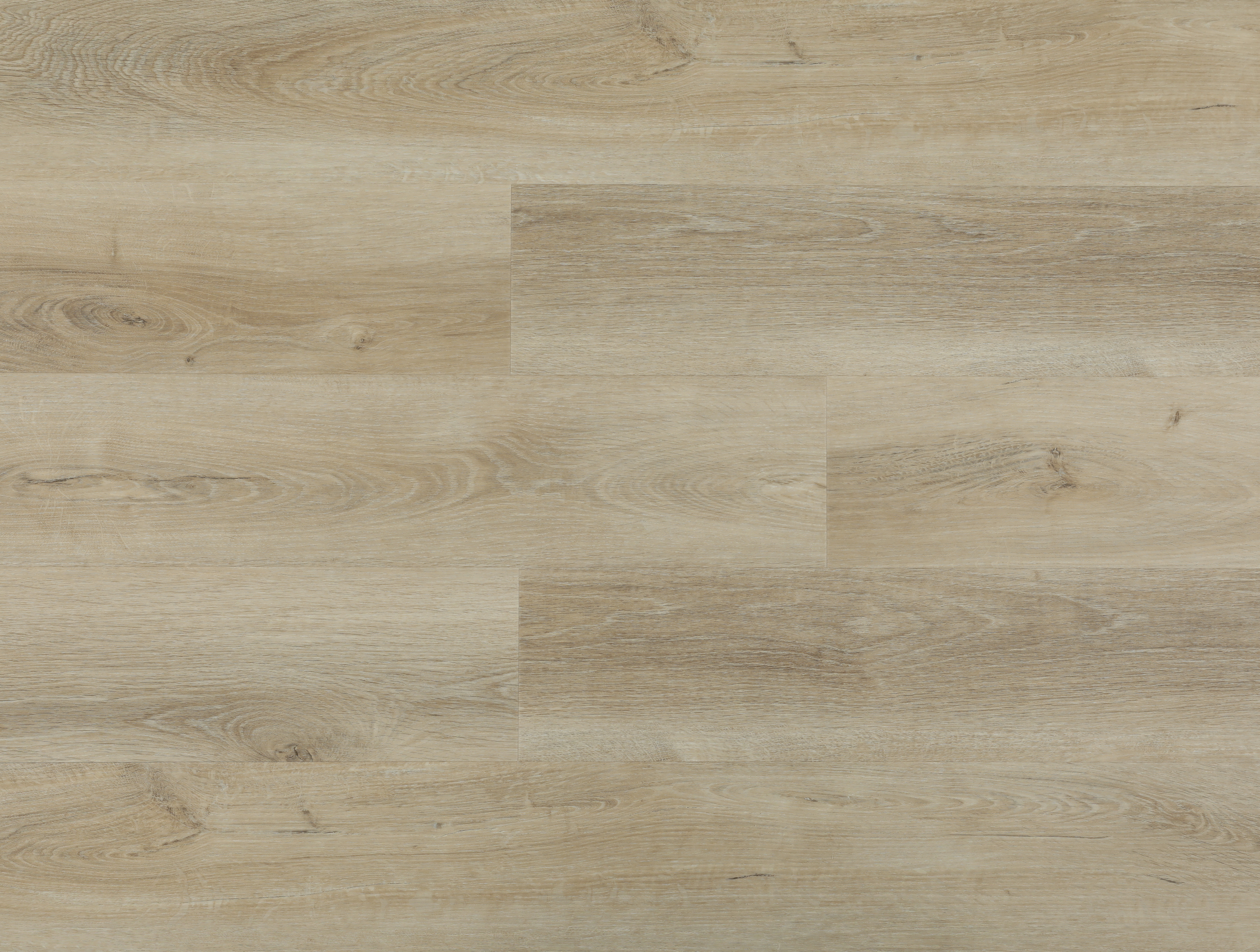 Siberian Oak Beige S440