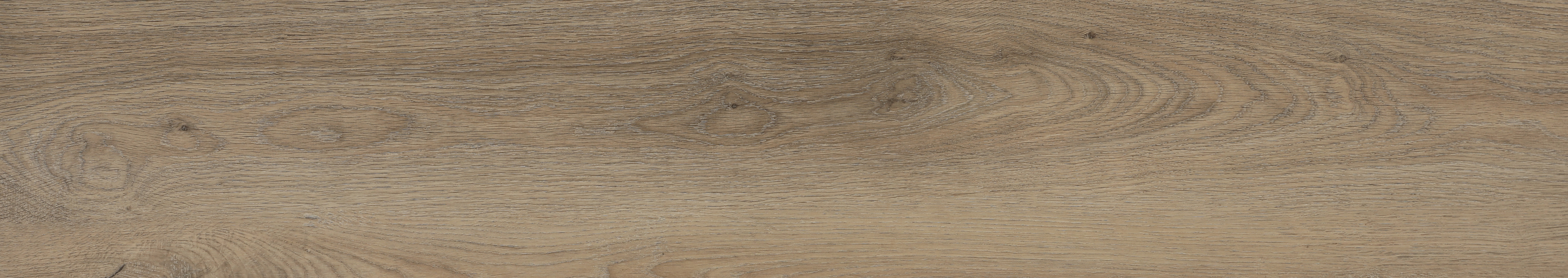 European Oak Silver S383