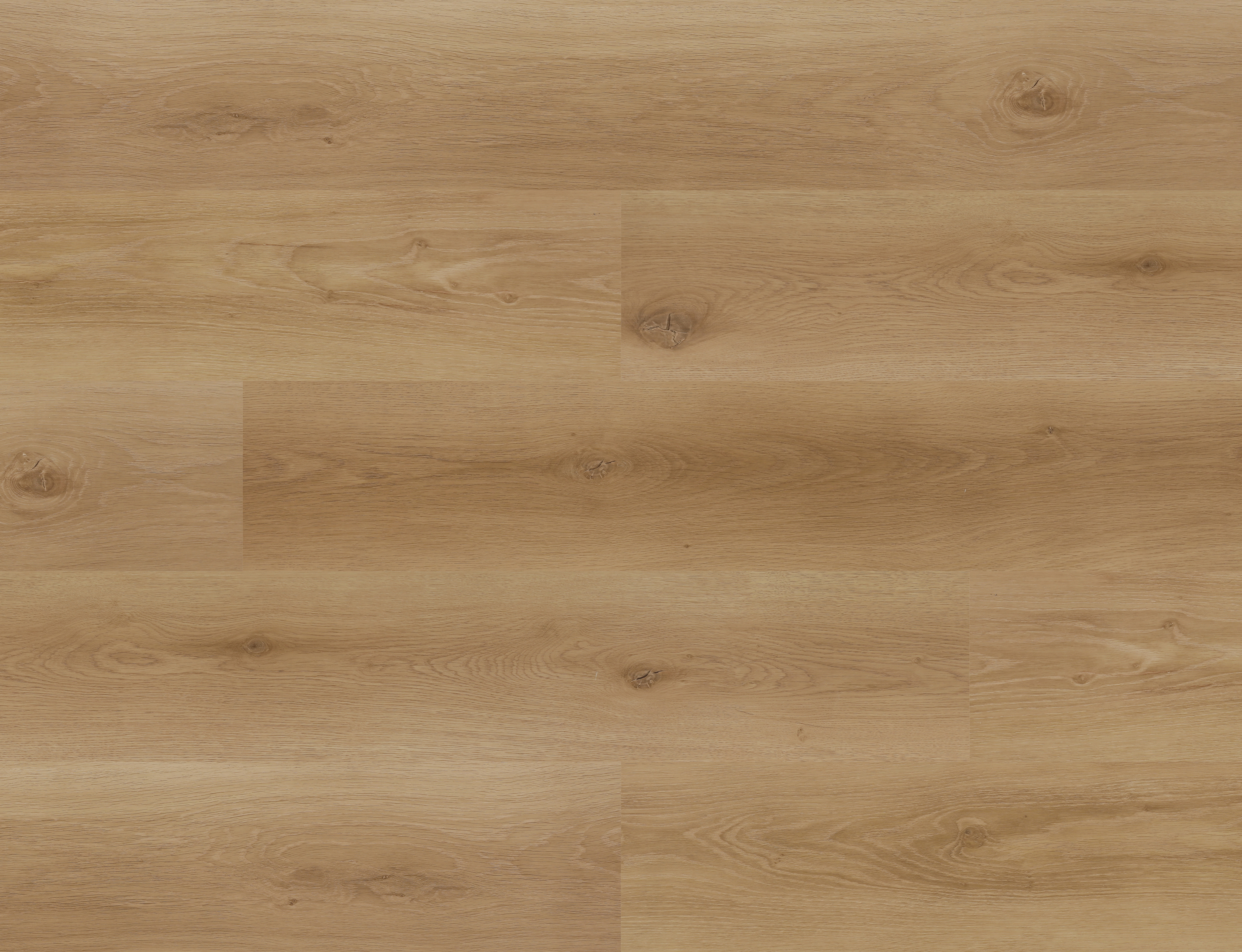 Heidelberg Oak Gold S386