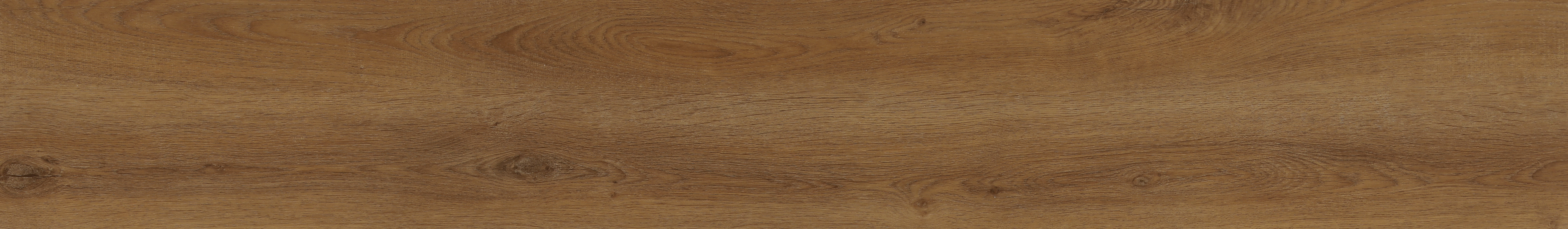 European Oak Gold S415