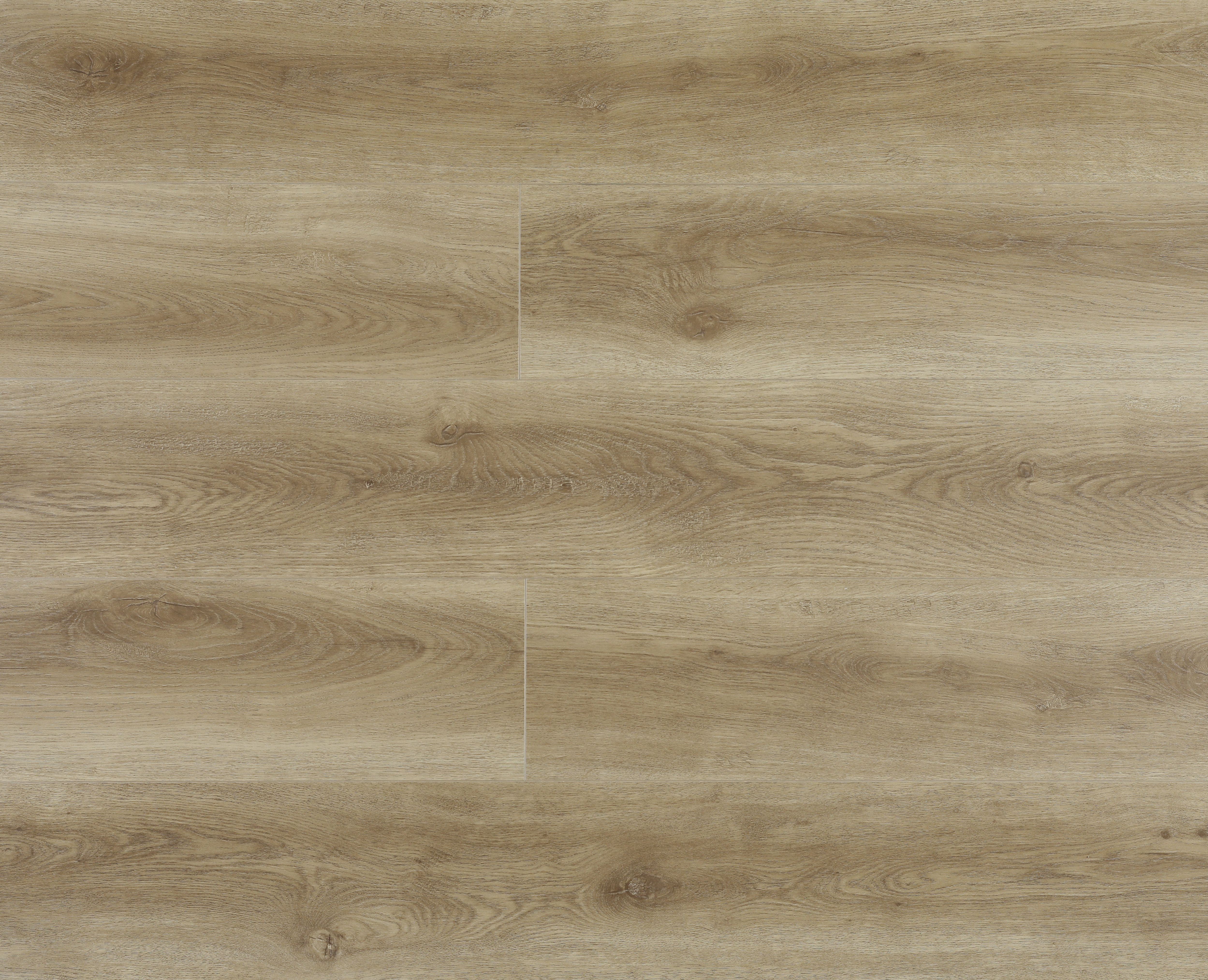 Volga Oak Nuts MF07-2