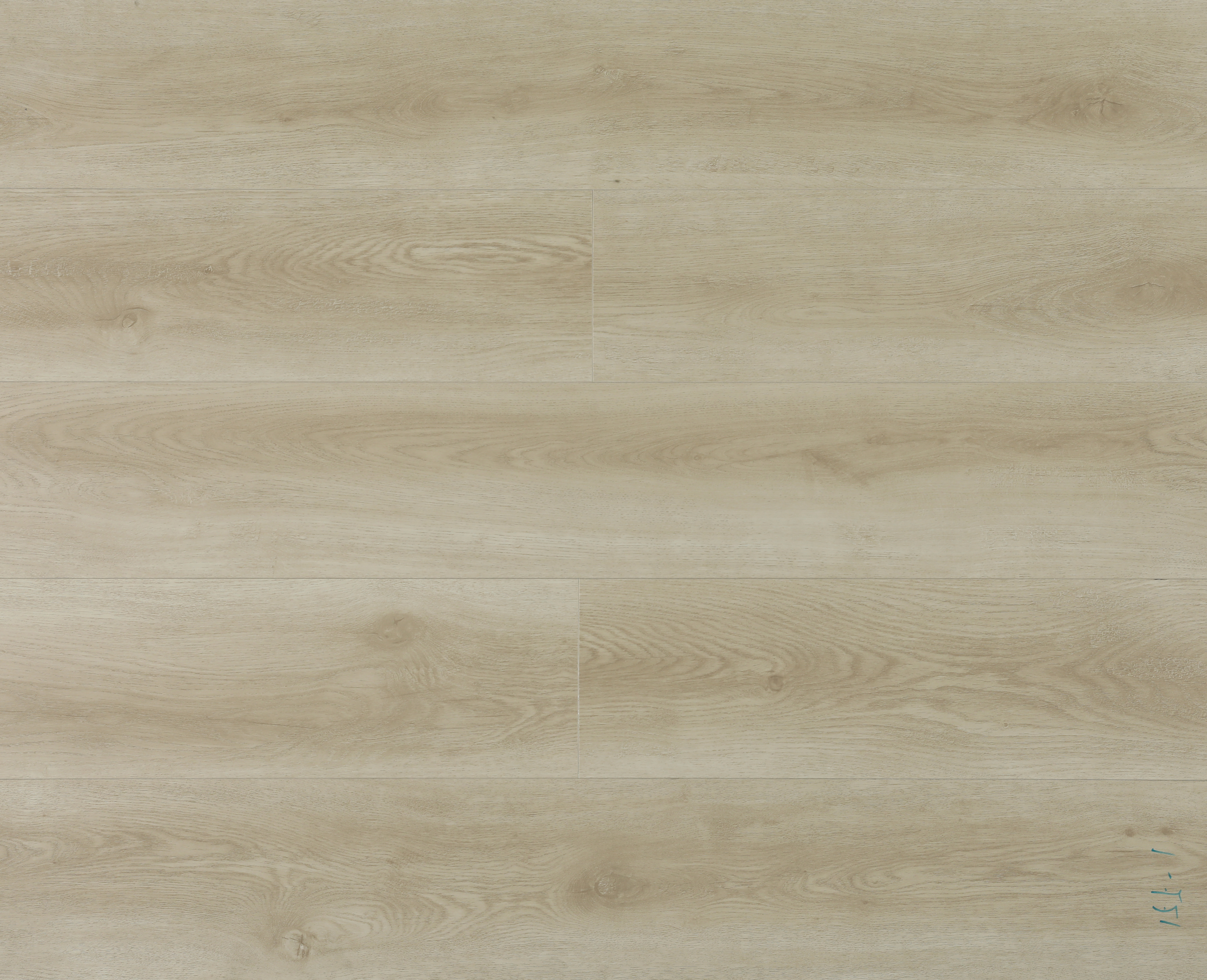 Volga  Oak Yellow MF07-6