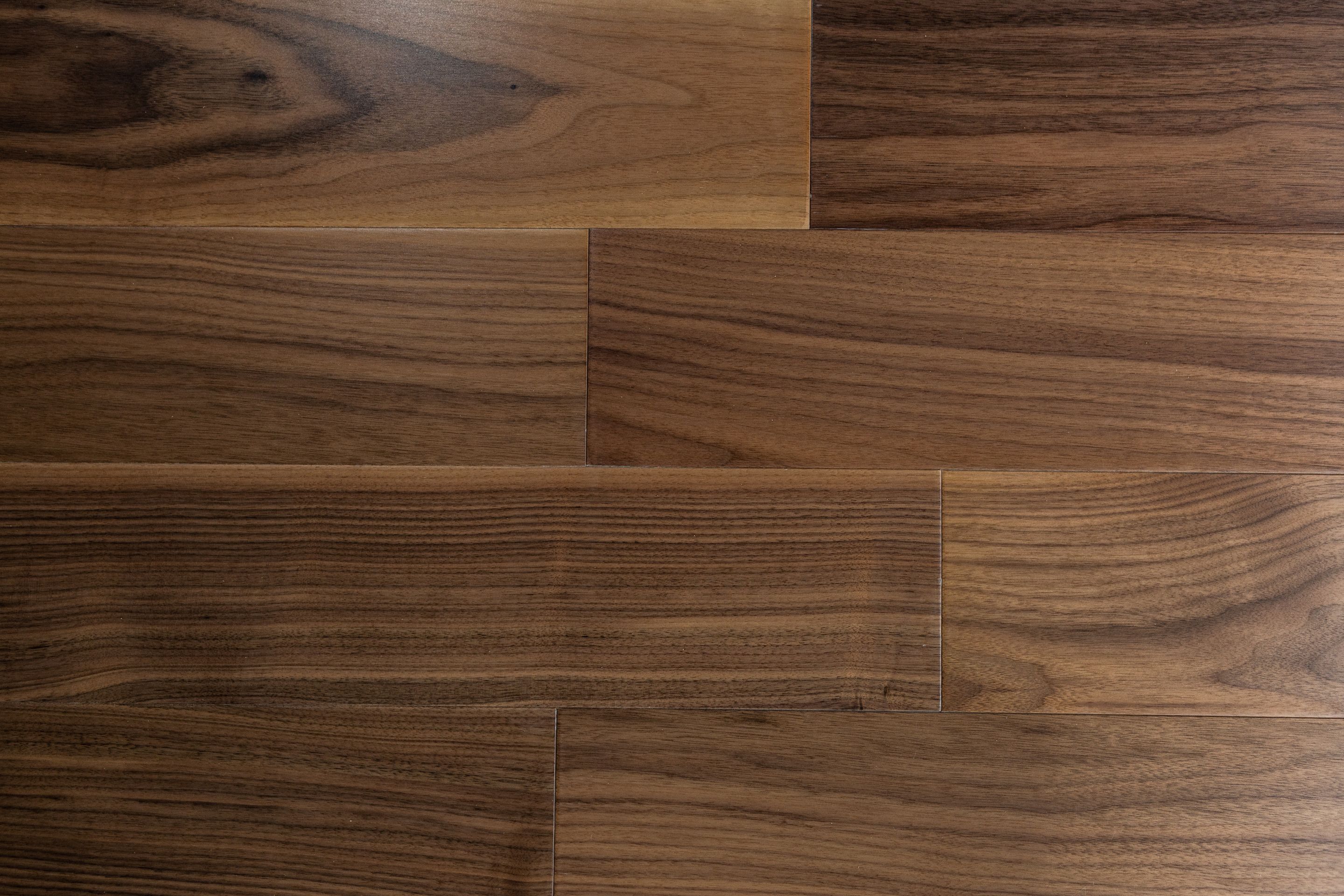 American Walnut
