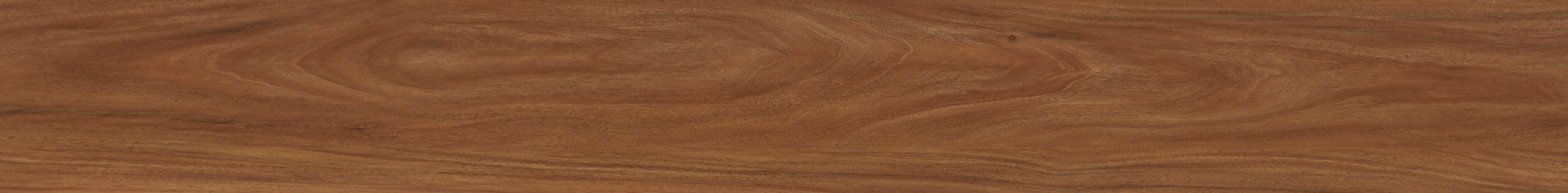 Jatoba S133