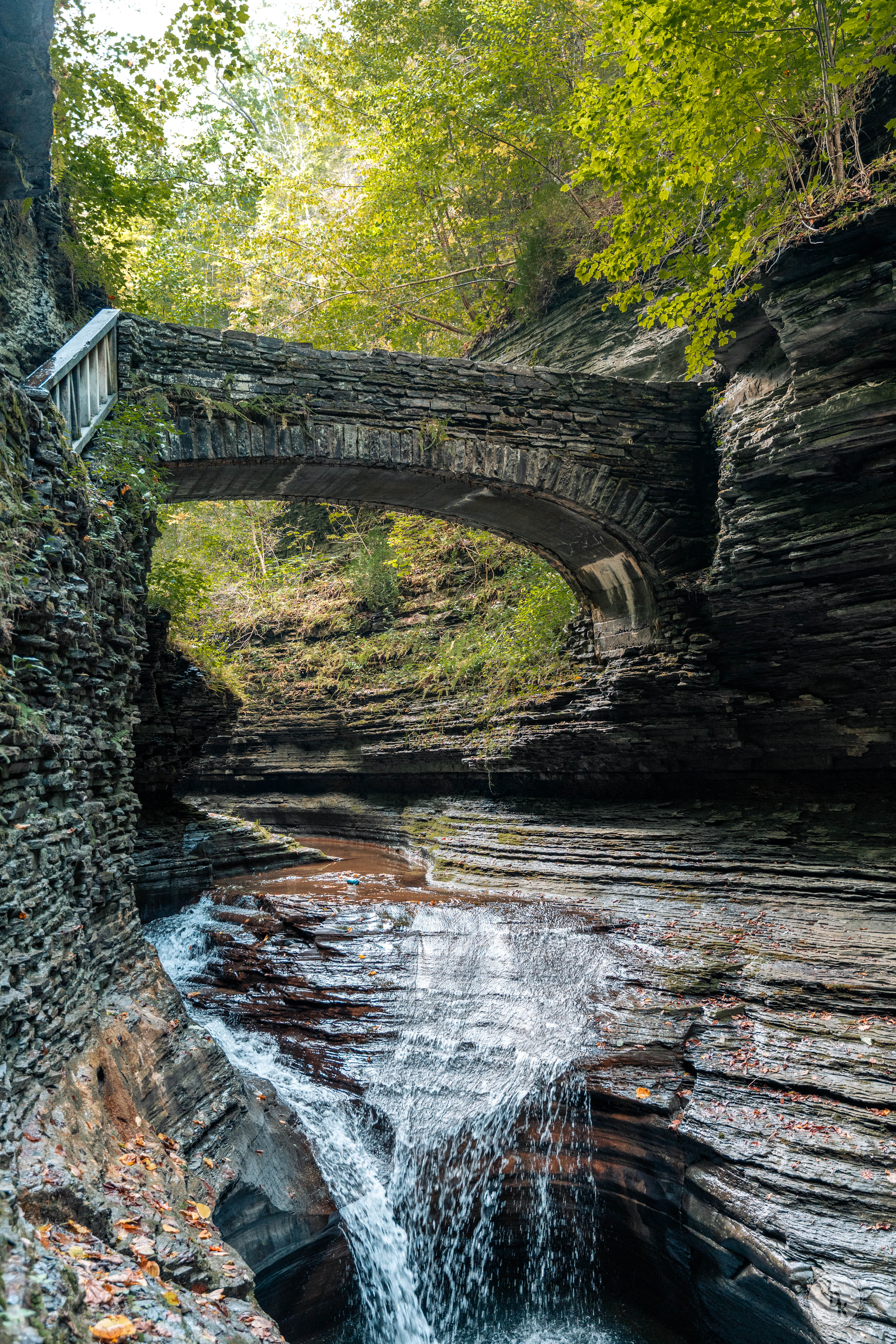 Watkins Glen print
