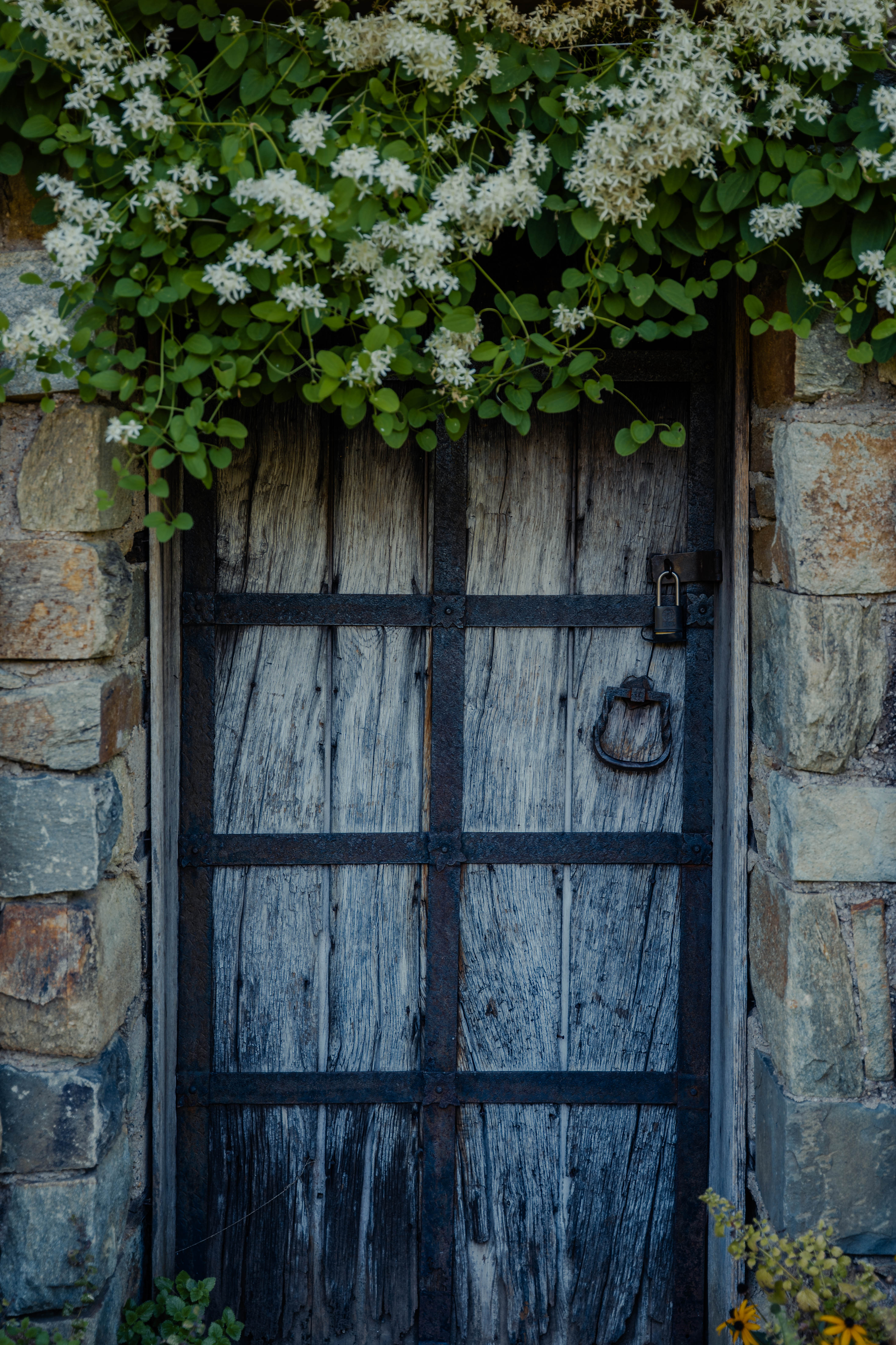 Wooden Door Print