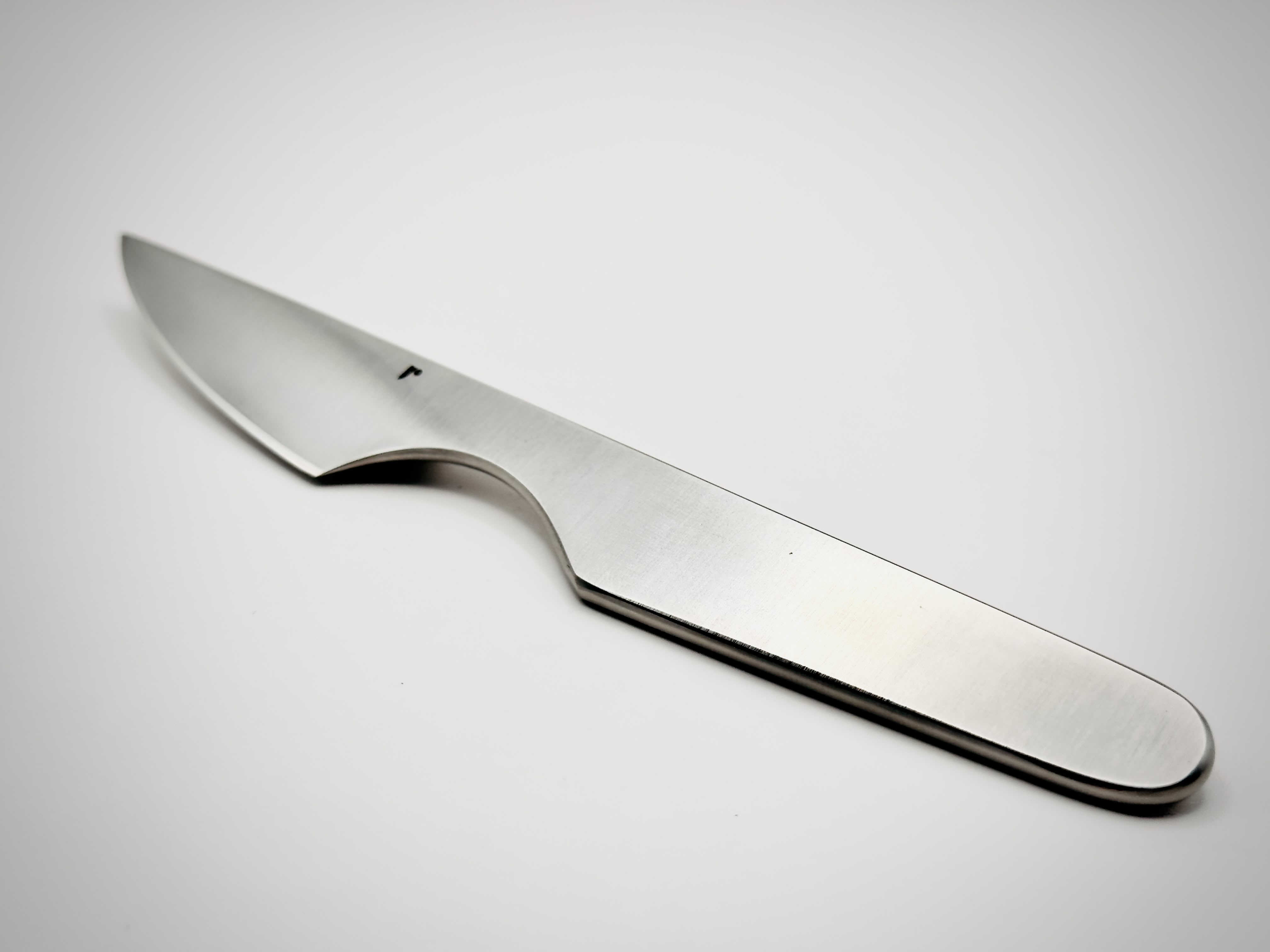 le requin brute d'inox