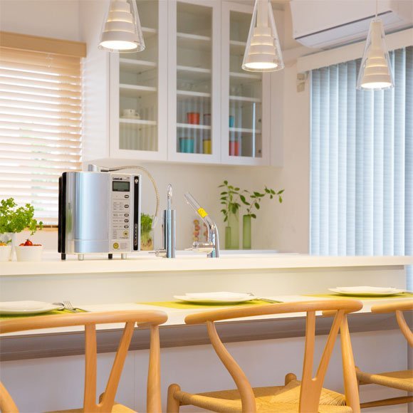 Maquina de Fazer Água Kangen Leveluk SD501 Platinum