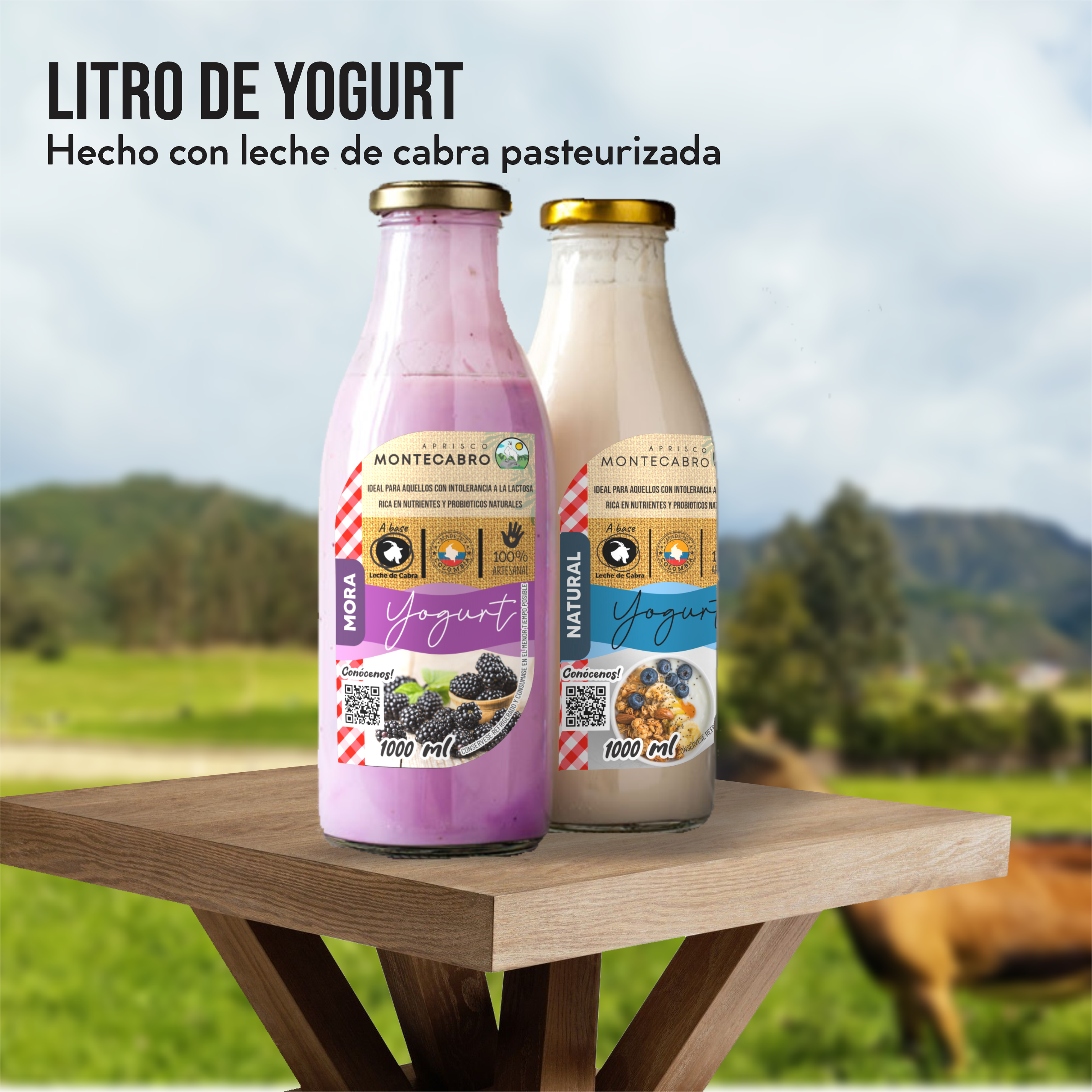 1Lt Yogurt Artesanal
