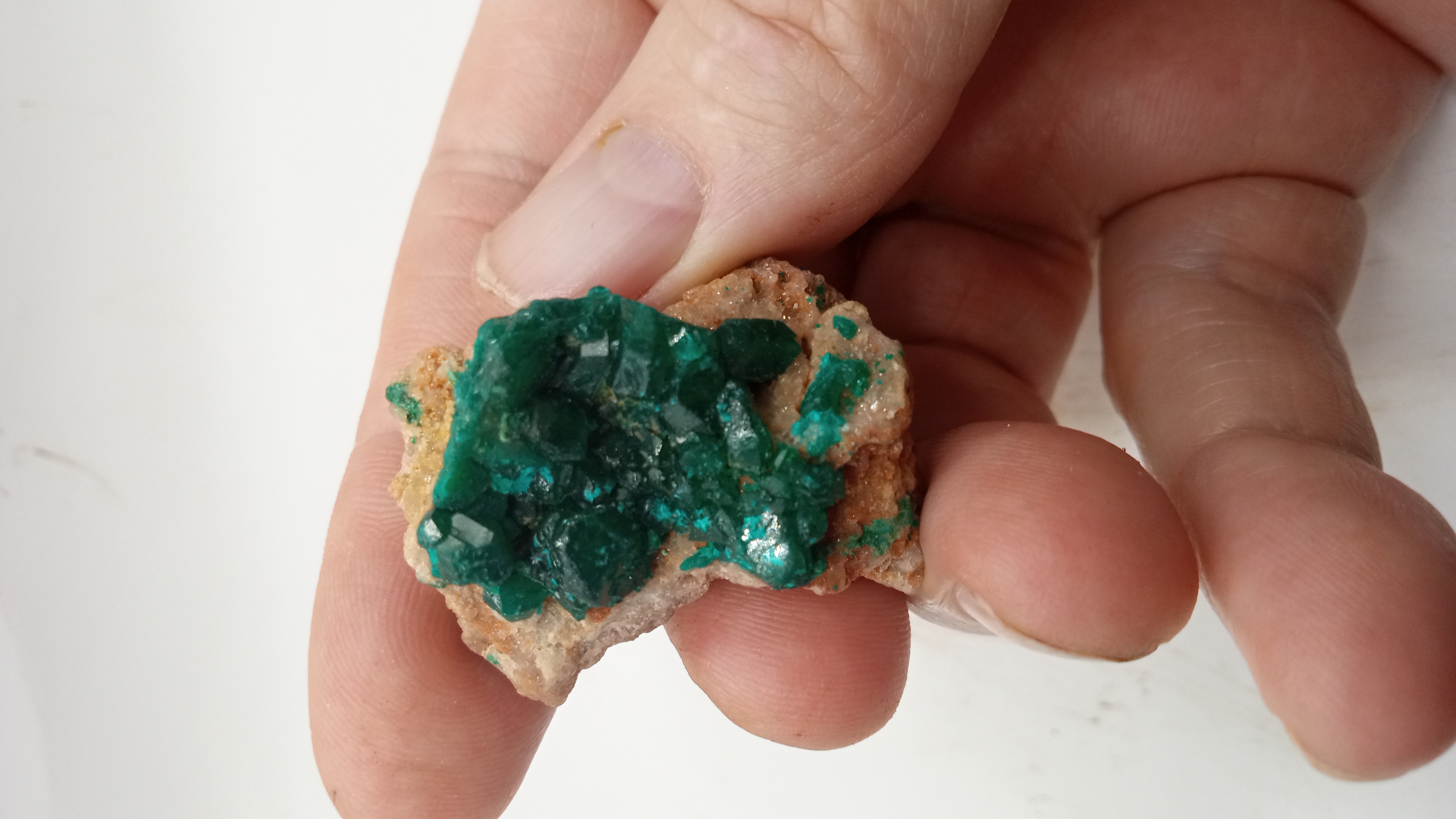 Dioptase Stunning Green Crystal Mineral Specimen ~ Congo ~