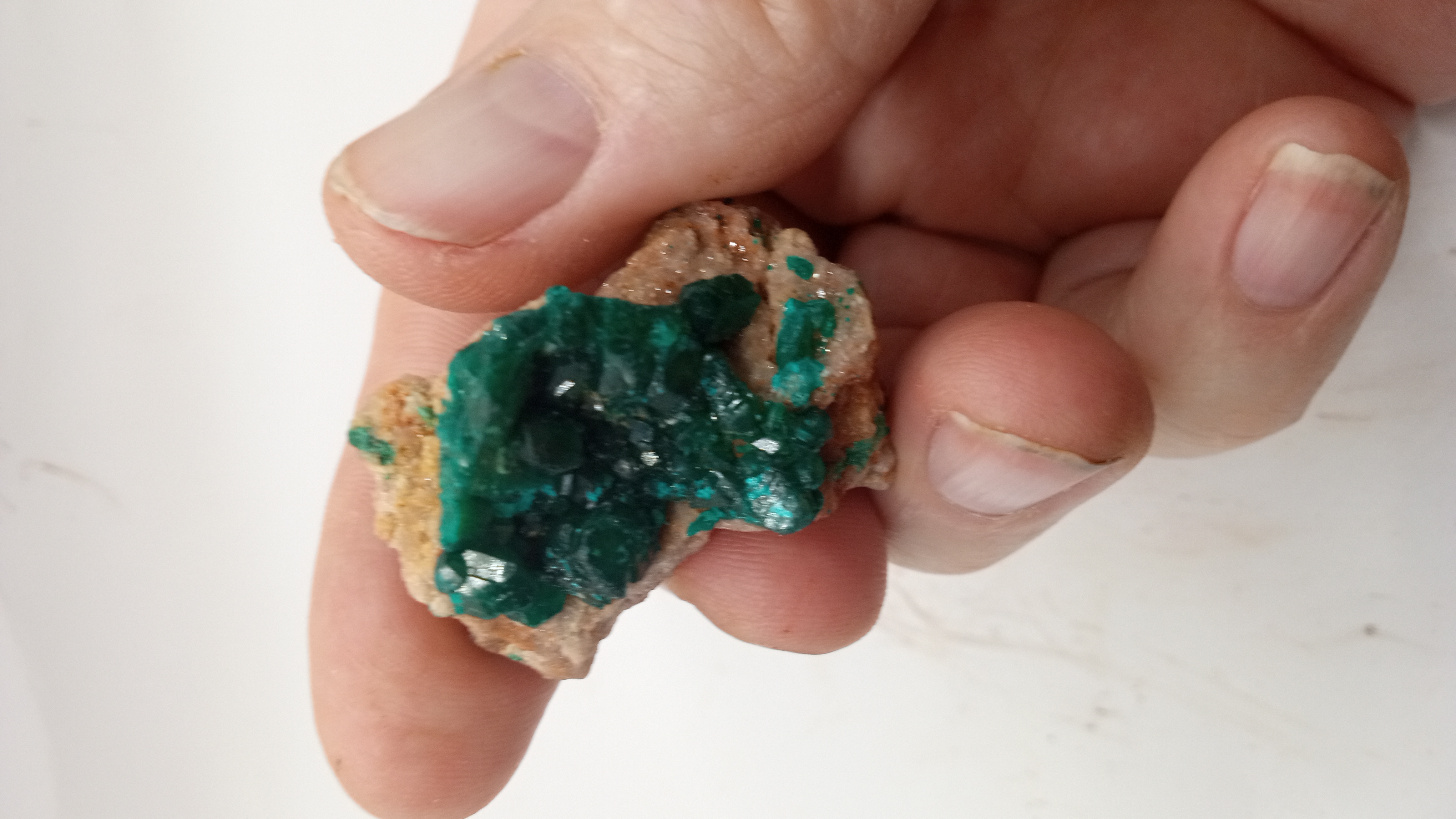 Dioptase Stunning Green Crystal Mineral Specimen ~ Congo ~