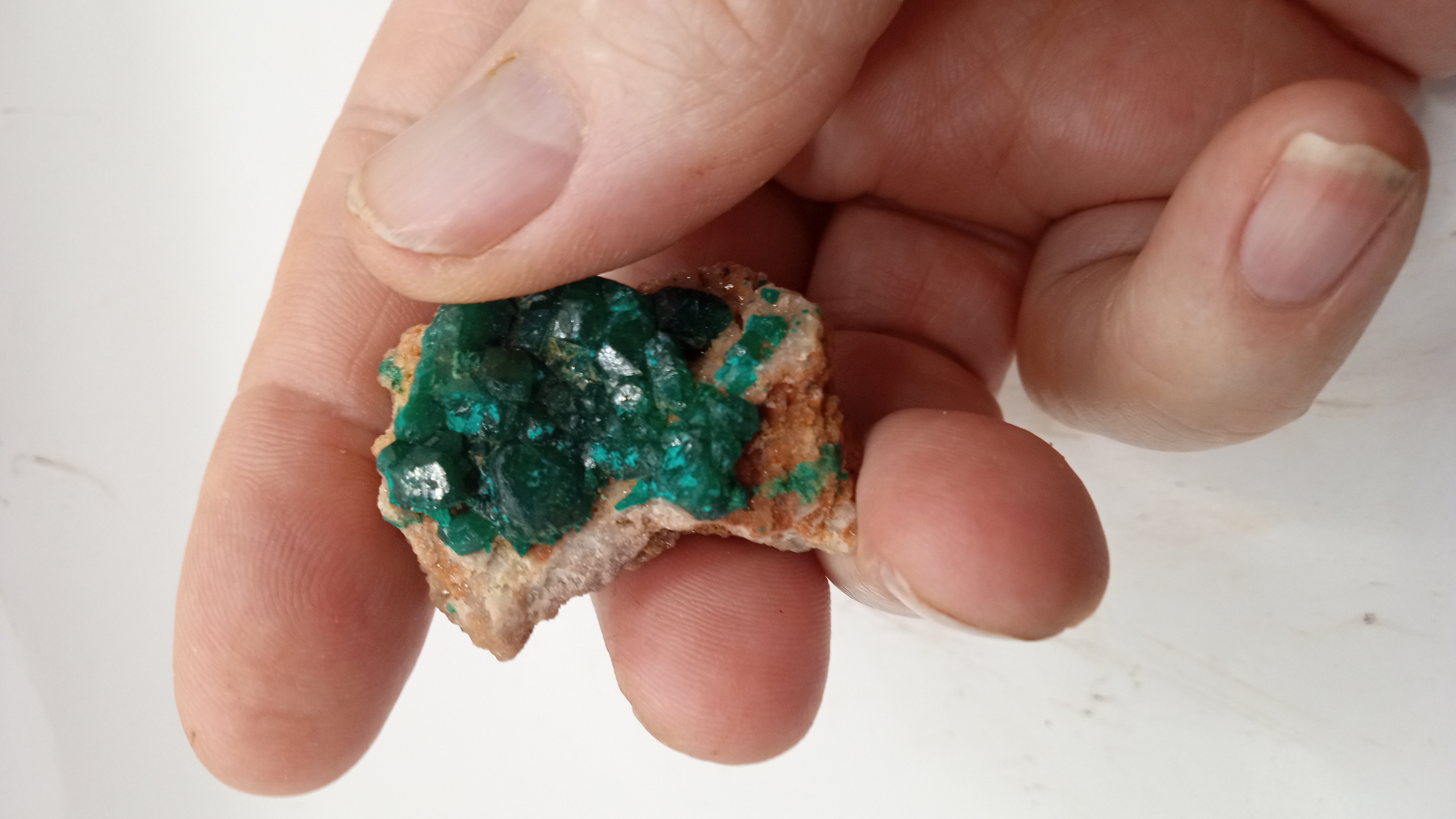 Dioptase Stunning Green Crystal Mineral Specimen ~ Congo ~