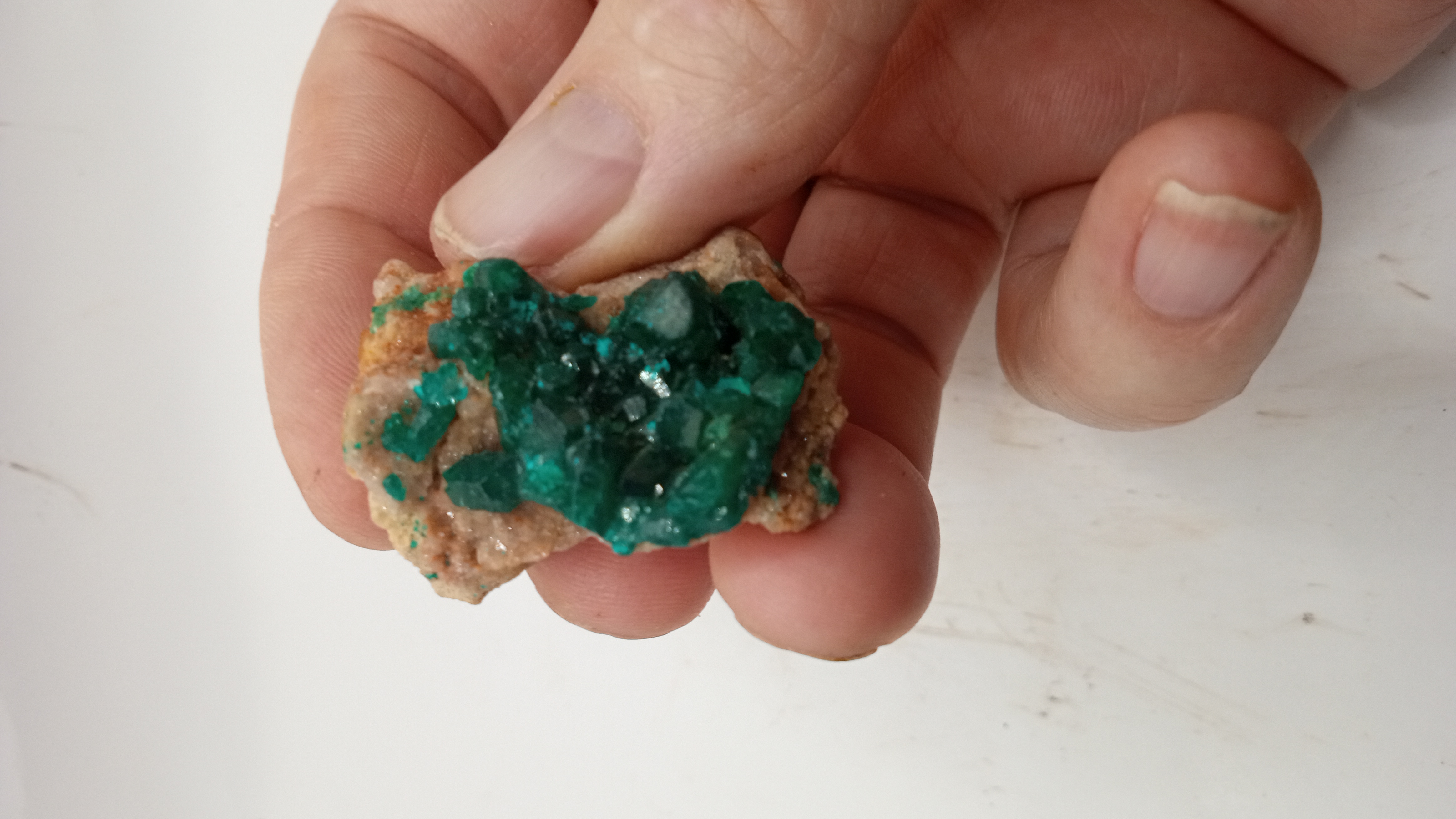 Dioptase Stunning Green Crystal Mineral Specimen ~ Congo ~