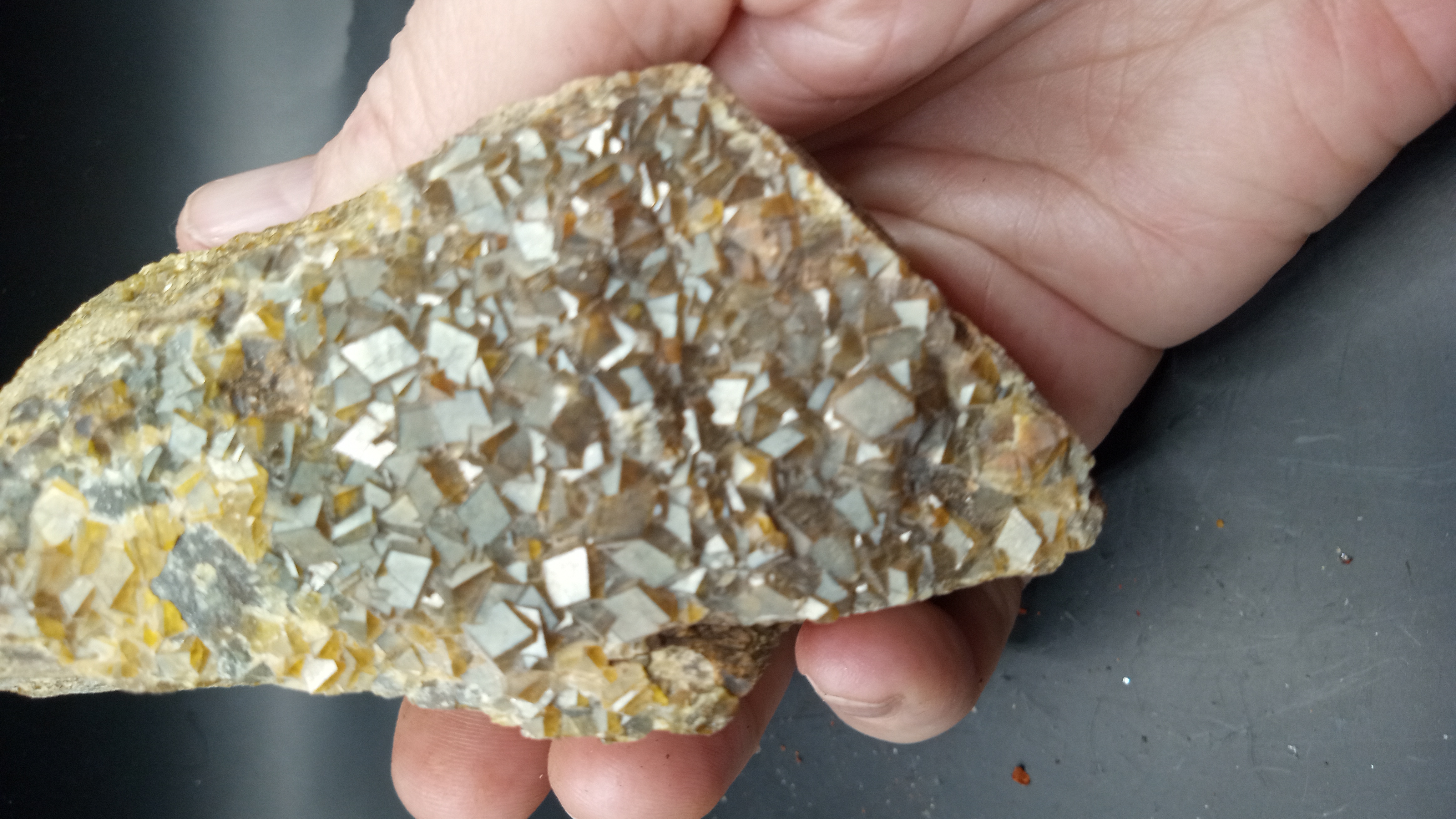 Andradite Garnet - Santa Teresa Mountains, in Graham County, Central Arizona ~
