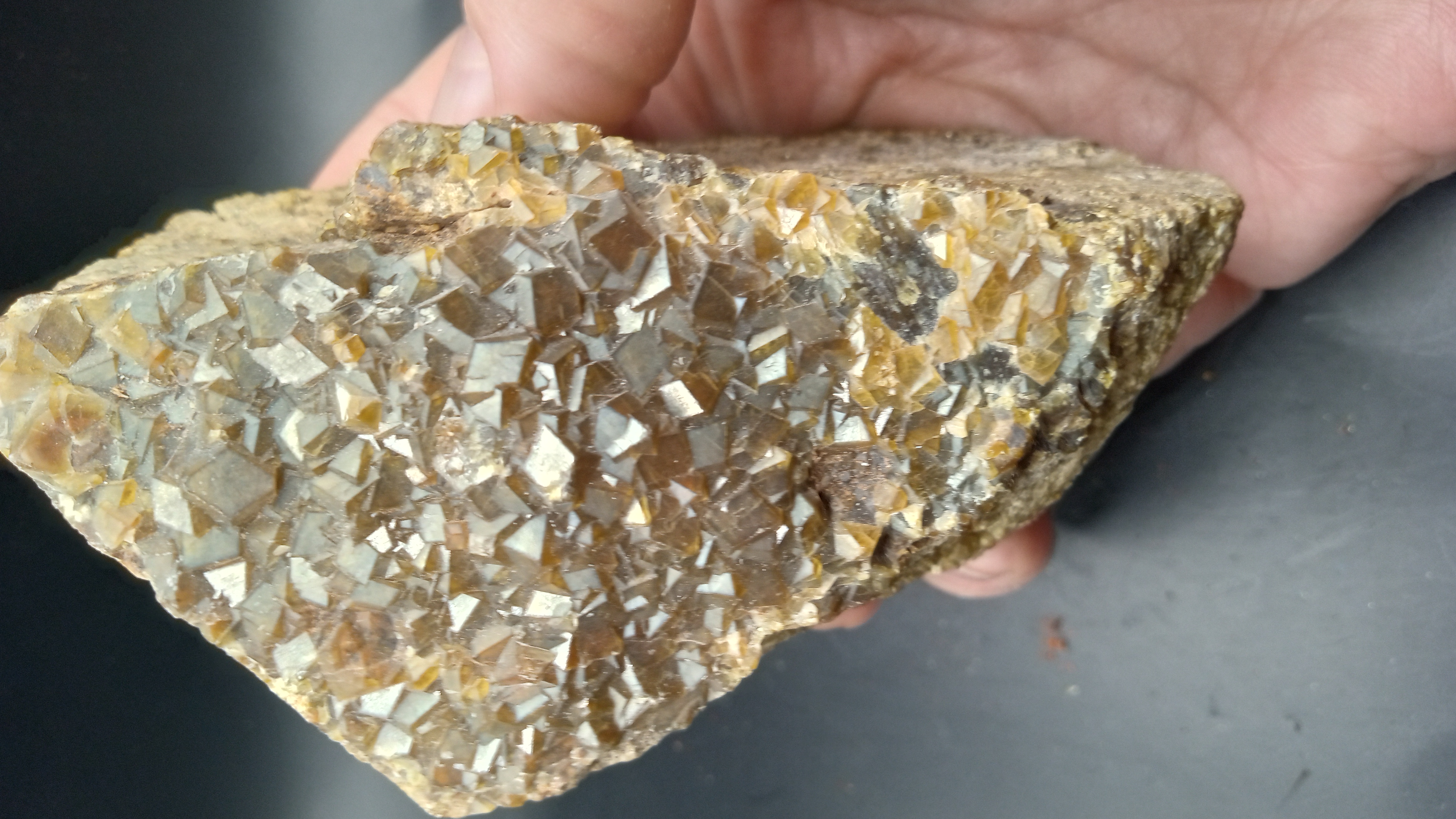 Andradite Garnet - Santa Teresa Mountains, in Graham County, Central Arizona ~