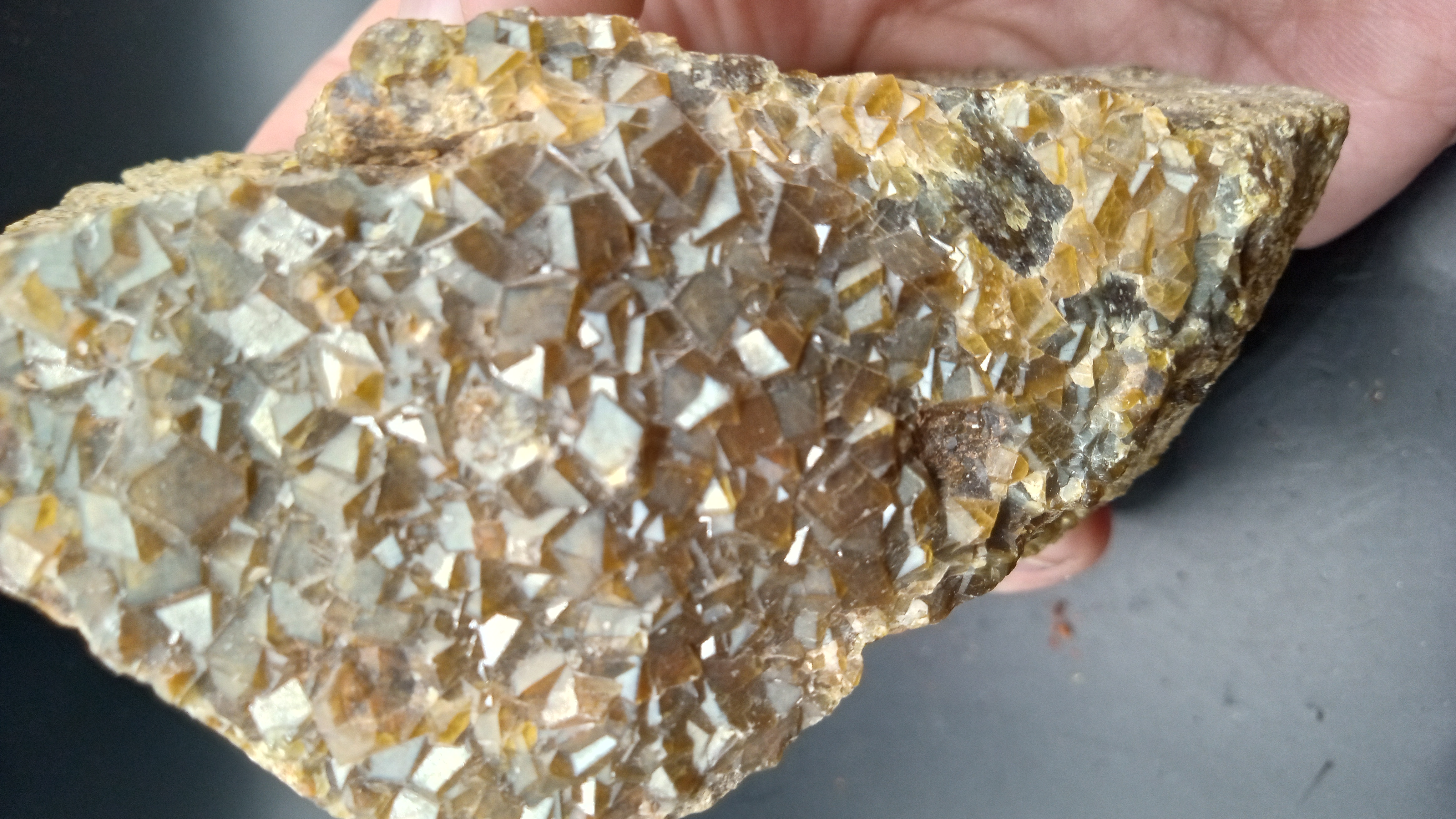 Andradite Garnet - Santa Teresa Mountains, in Graham County, Central Arizona ~