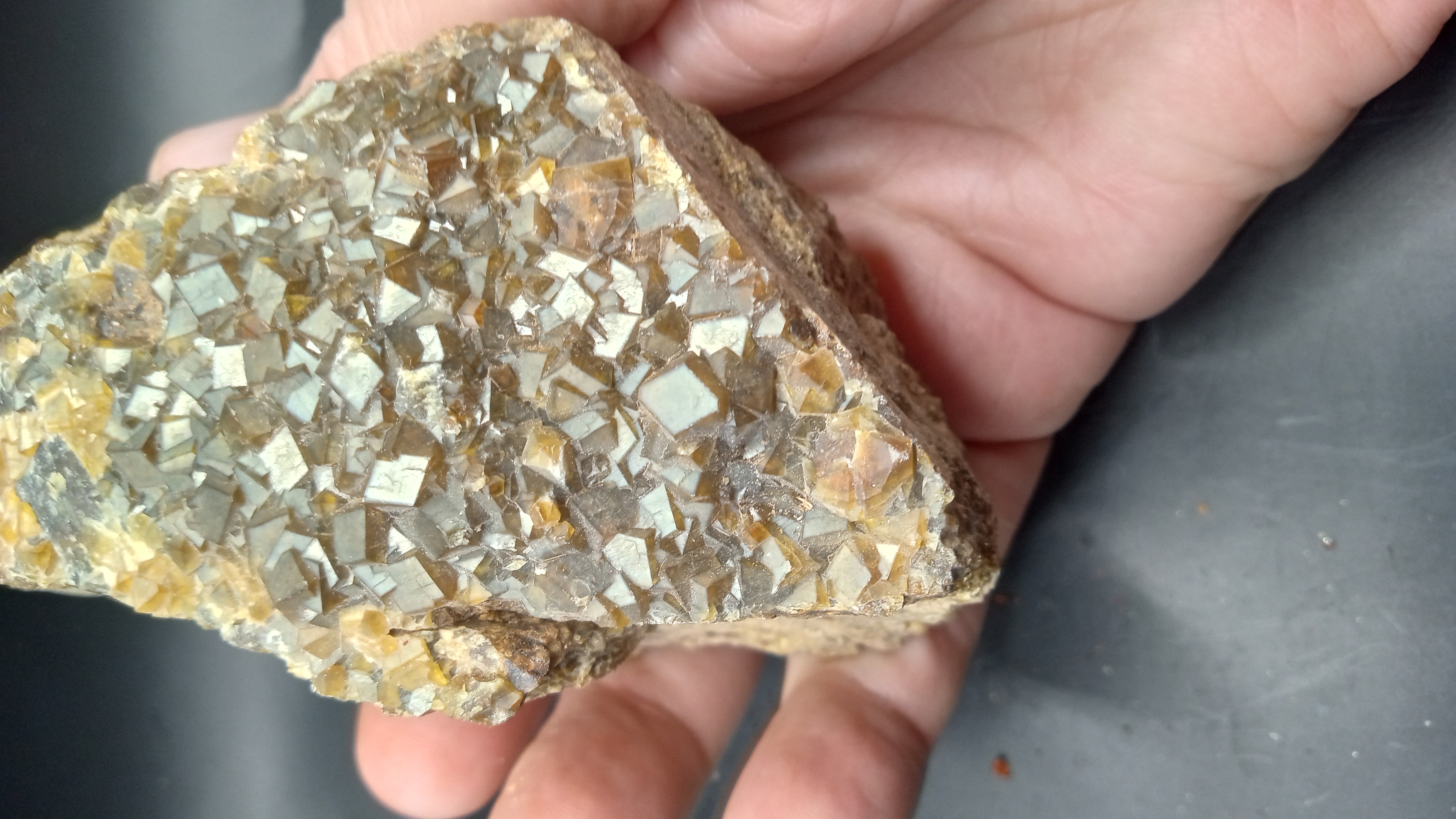 Andradite Garnet - Santa Teresa Mountains, in Graham County, Central Arizona ~
