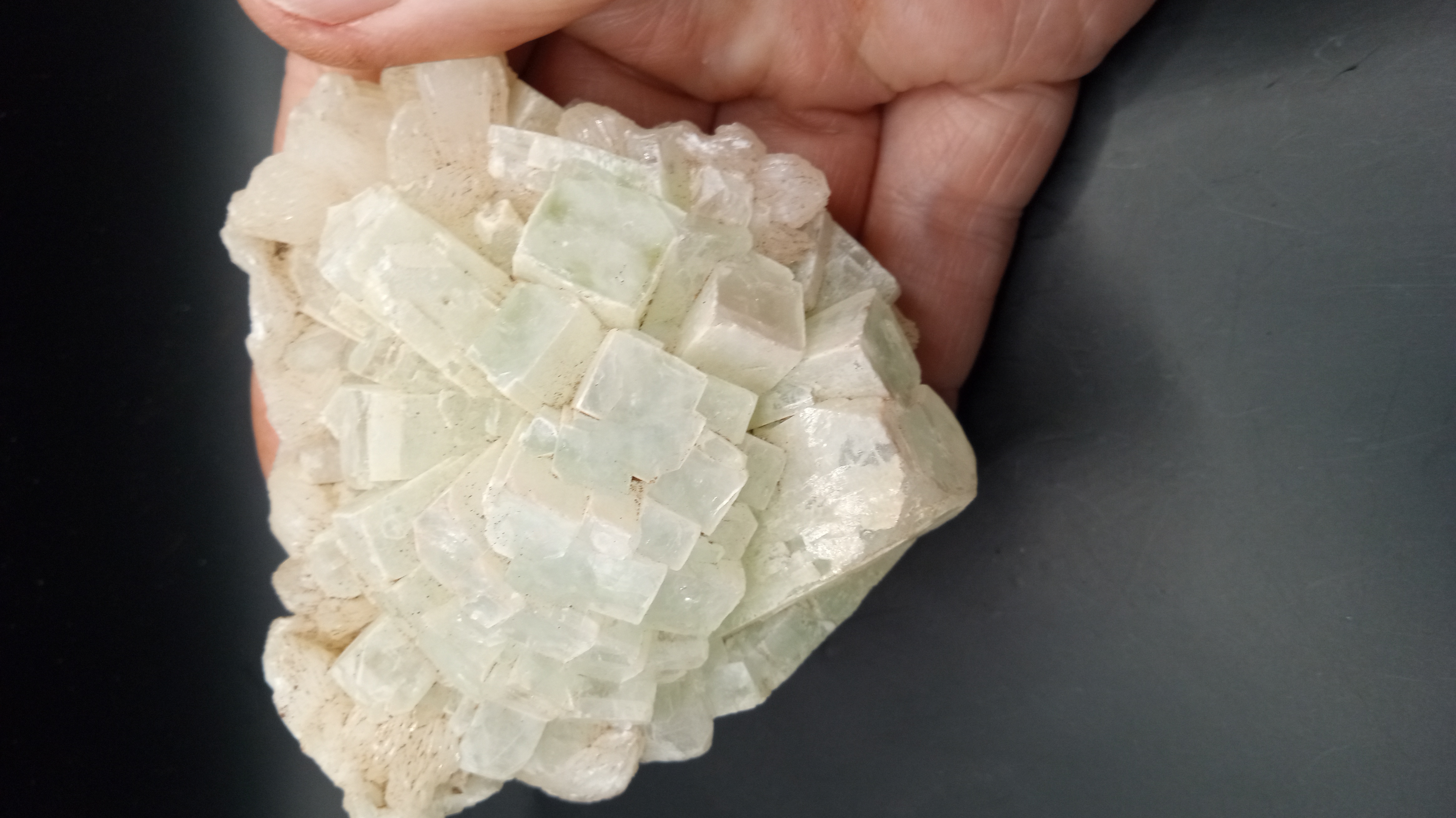 Fluorapophyllite Amazing Mineral Beautiful Specimen