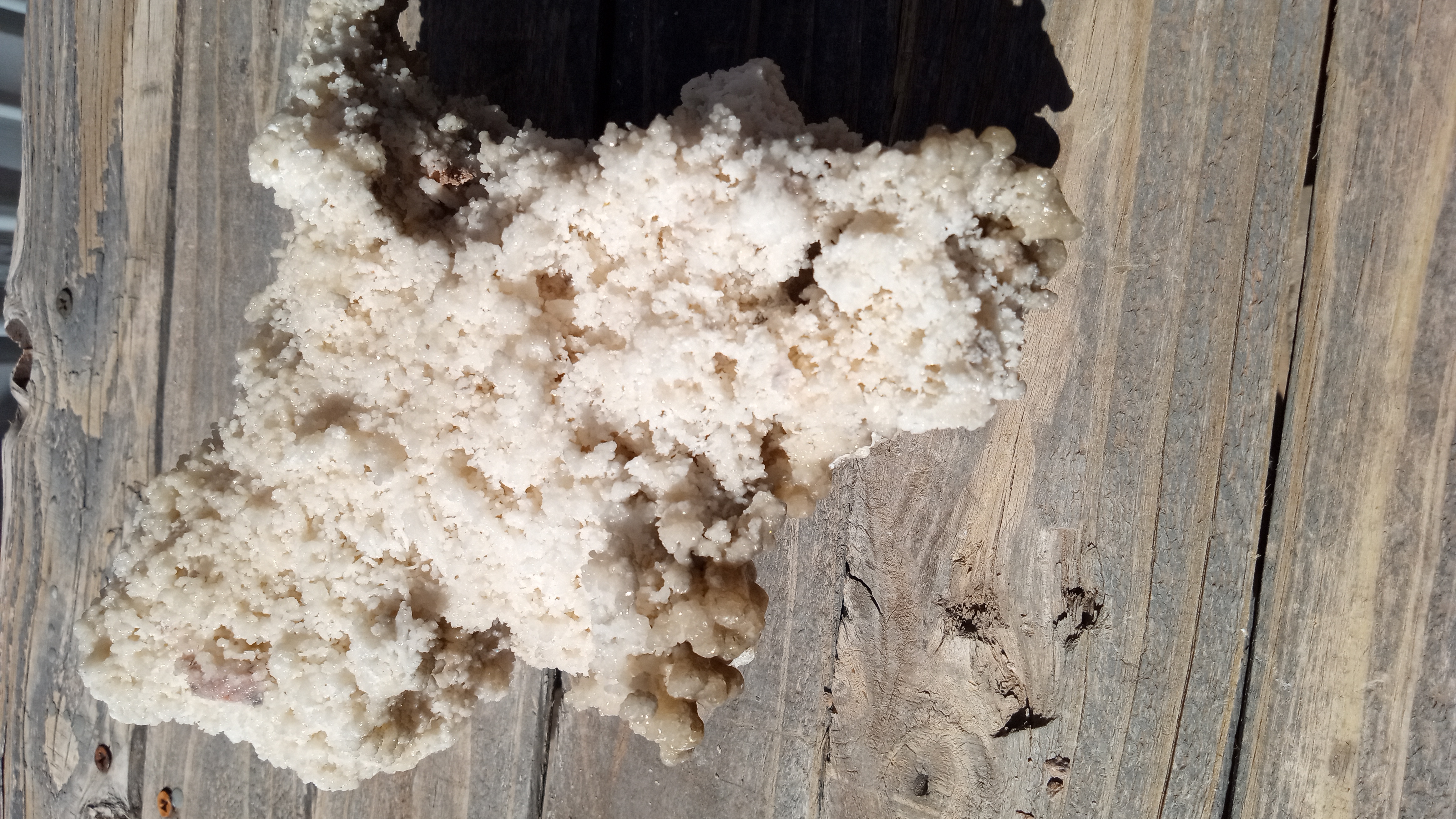 Aragonite /w Calcite Crystals Mineral Specimen - New Mexico ~
