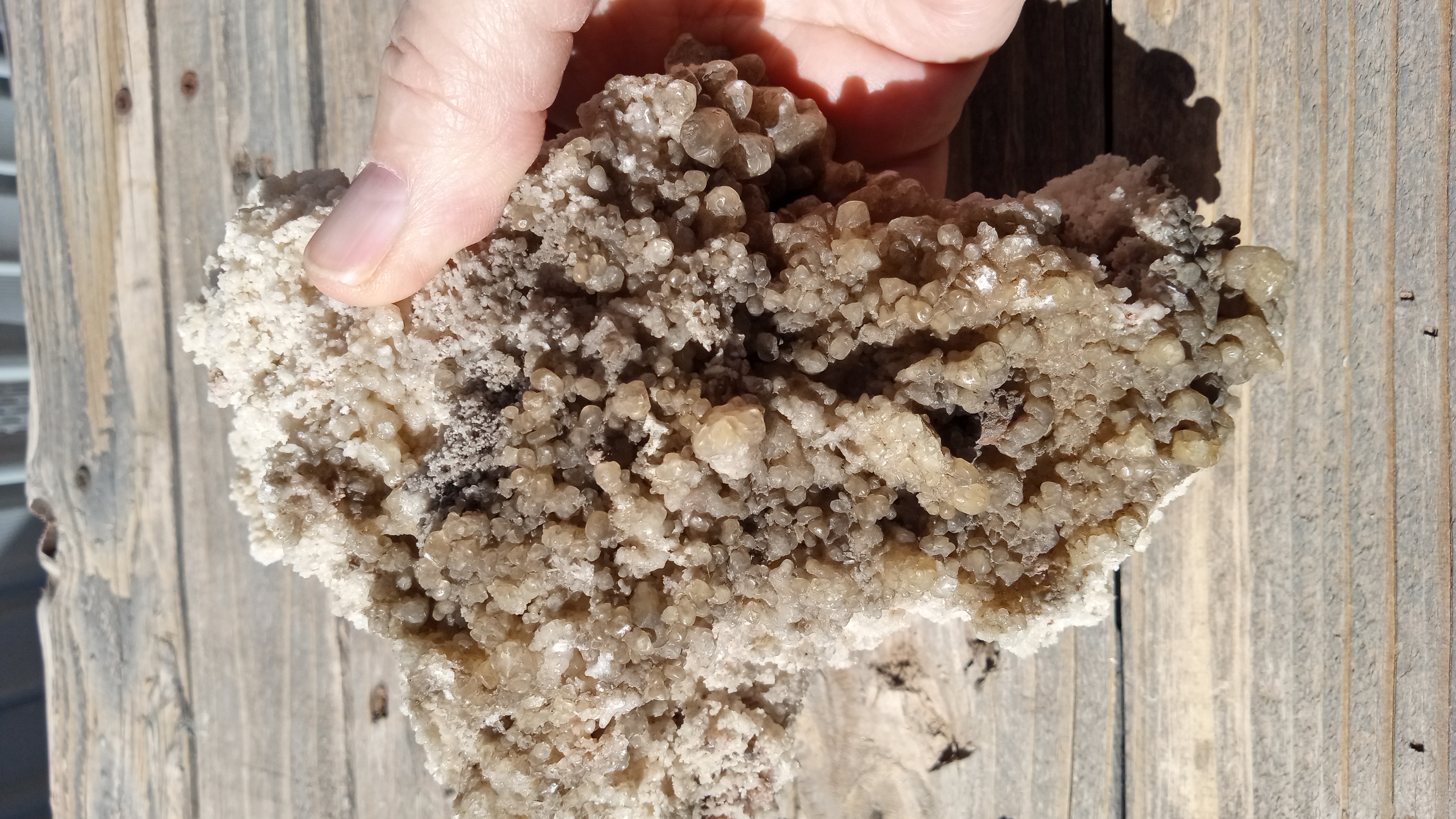 Aragonite /w Calcite Crystals Mineral Specimen - New Mexico ~