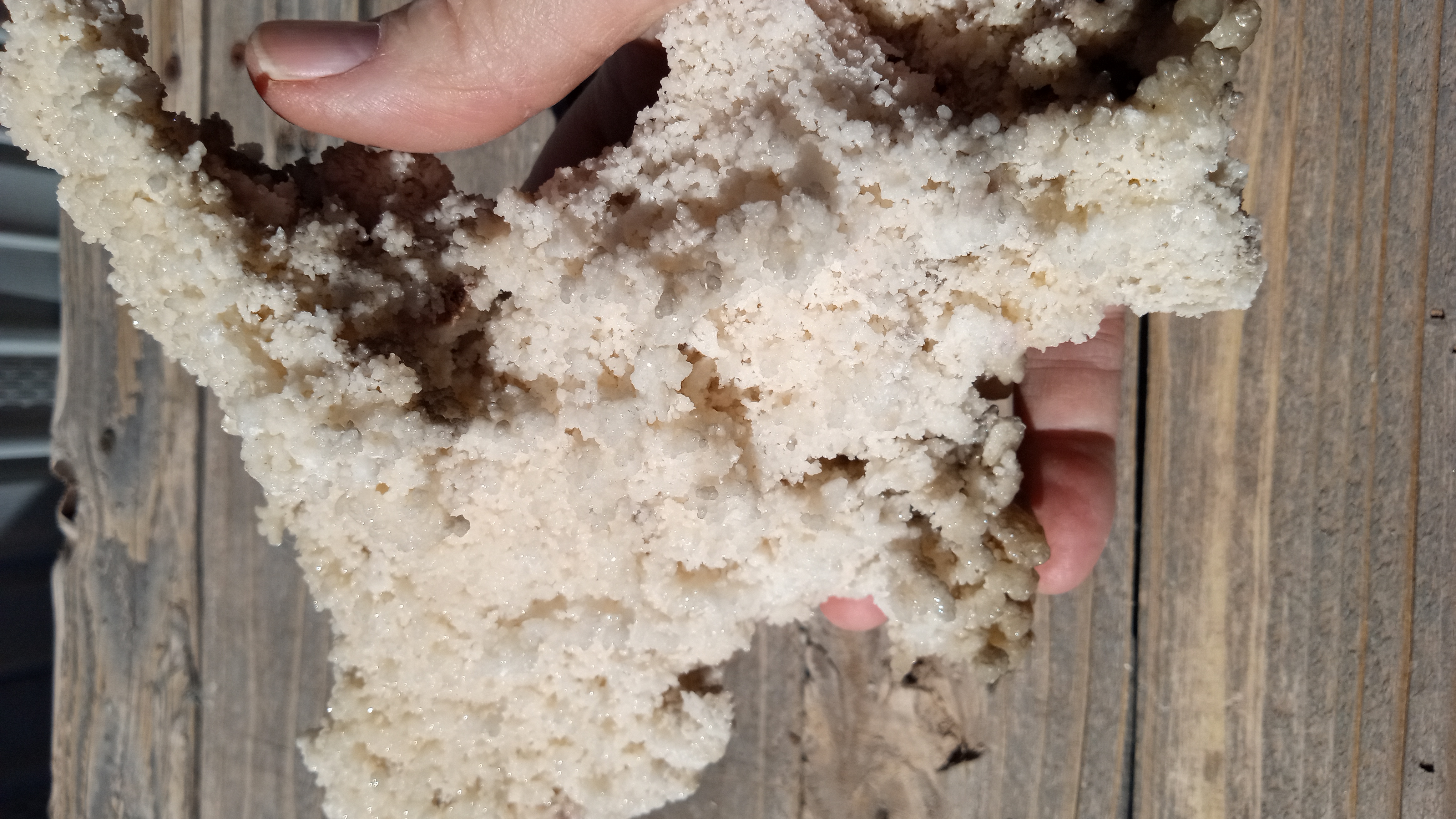 Aragonite /w Calcite Crystals Mineral Specimen - New Mexico ~