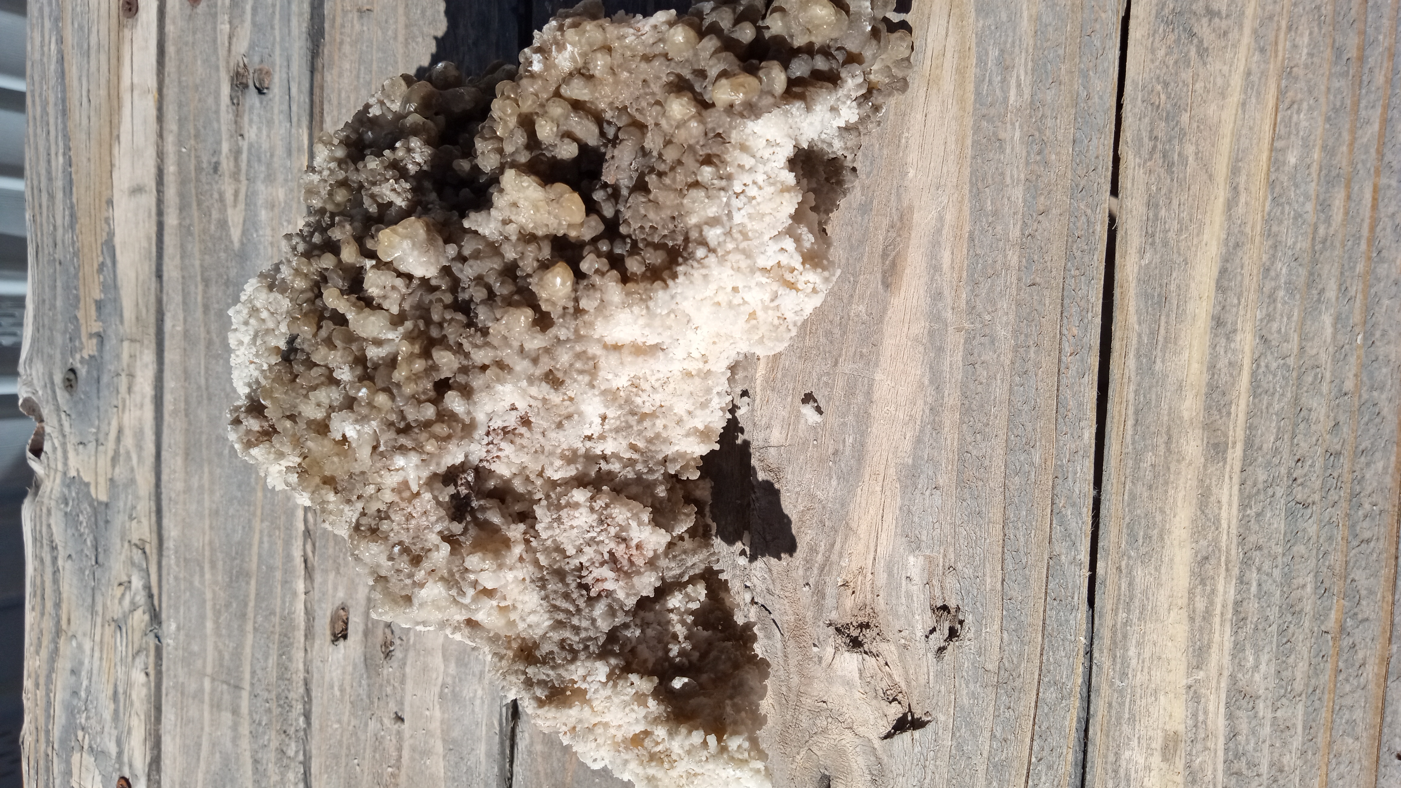 Aragonite /w Calcite Crystals Mineral Specimen - New Mexico ~