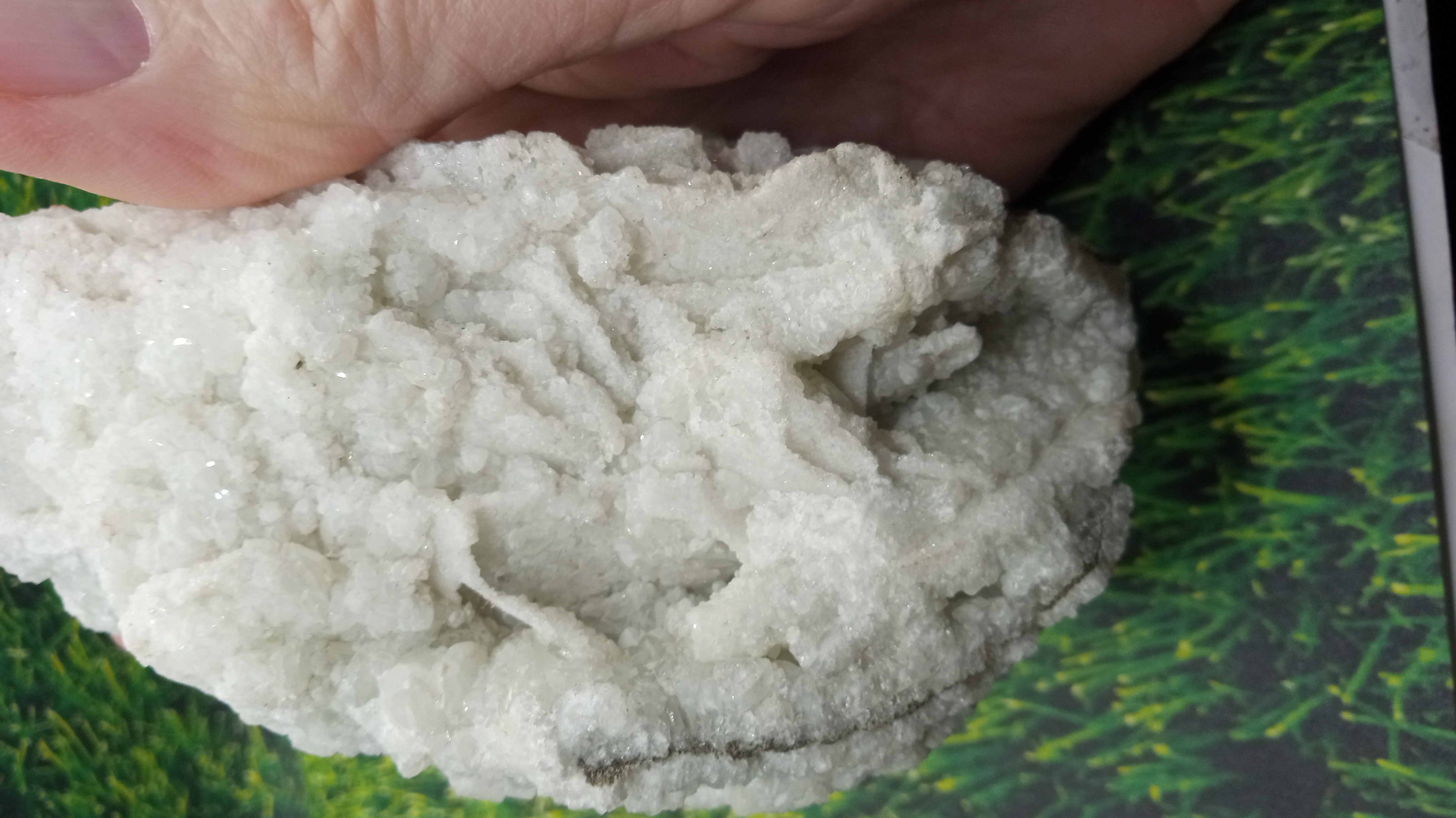 Calcite Light Green Mineral Specimen -Large ~  Mexico -