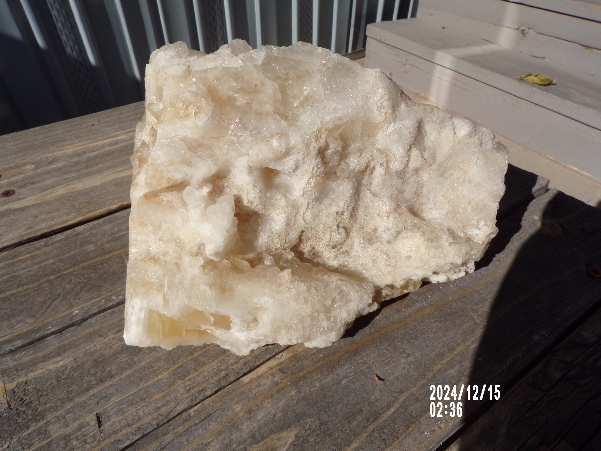 Large White Calcite Crystal w/ Halite - Mexico Mined Mineral Collection
