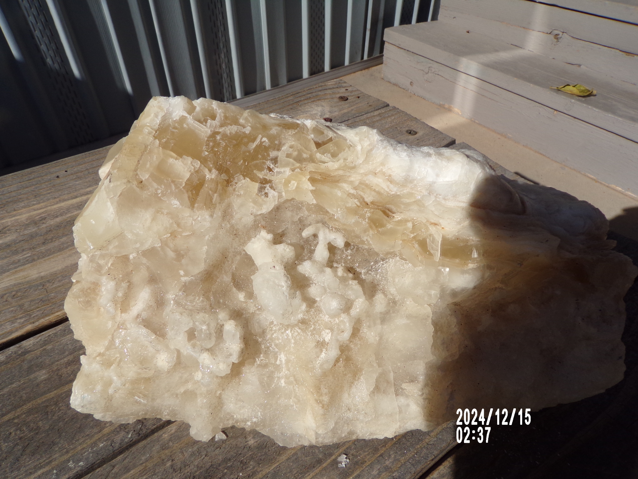 Large White Calcite Crystal w/ Halite -  Mexico Mined Mineral Collection