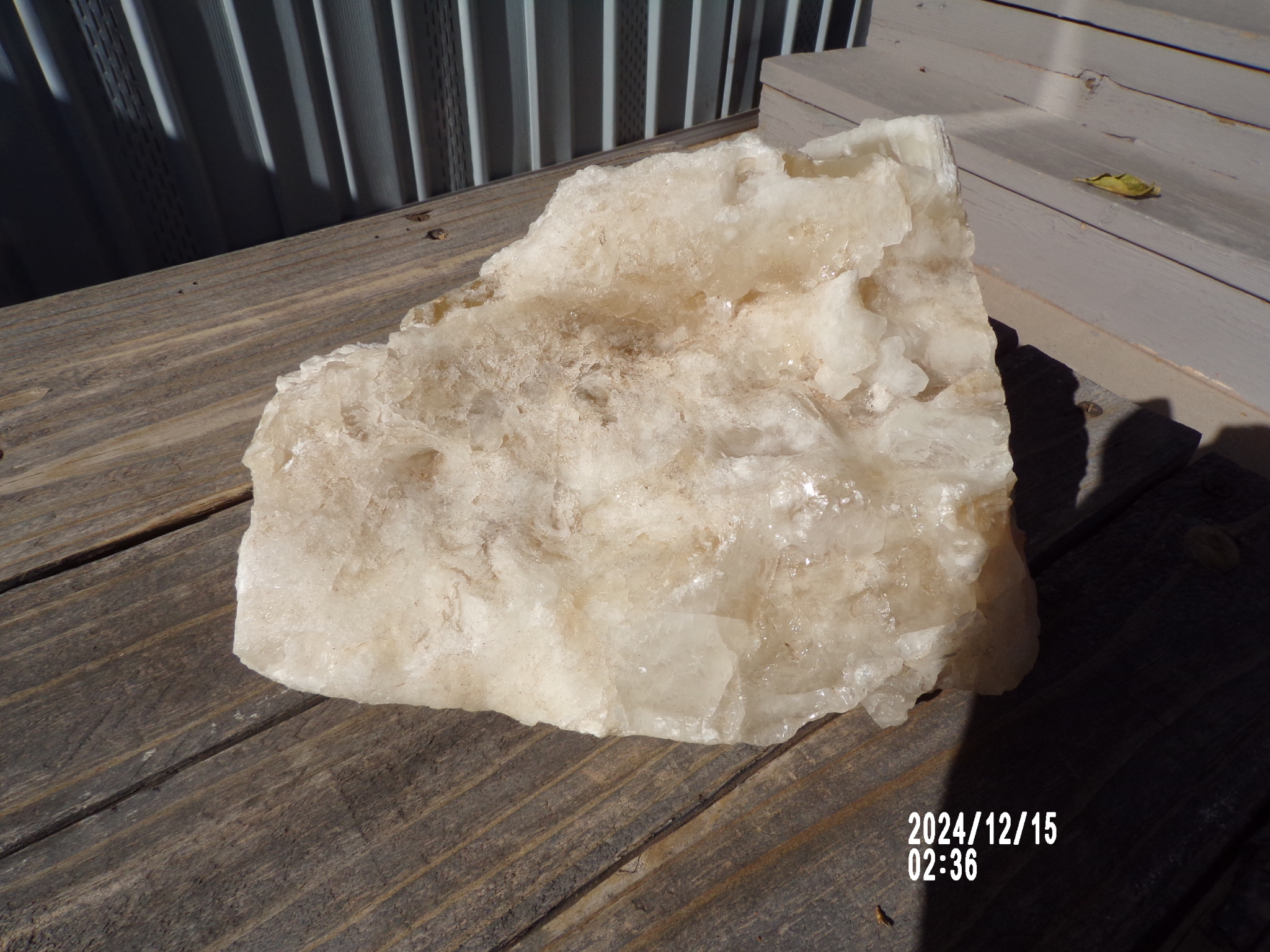 Large White Calcite Crystal w/ Halite -  Mexico Mined Mineral Collection