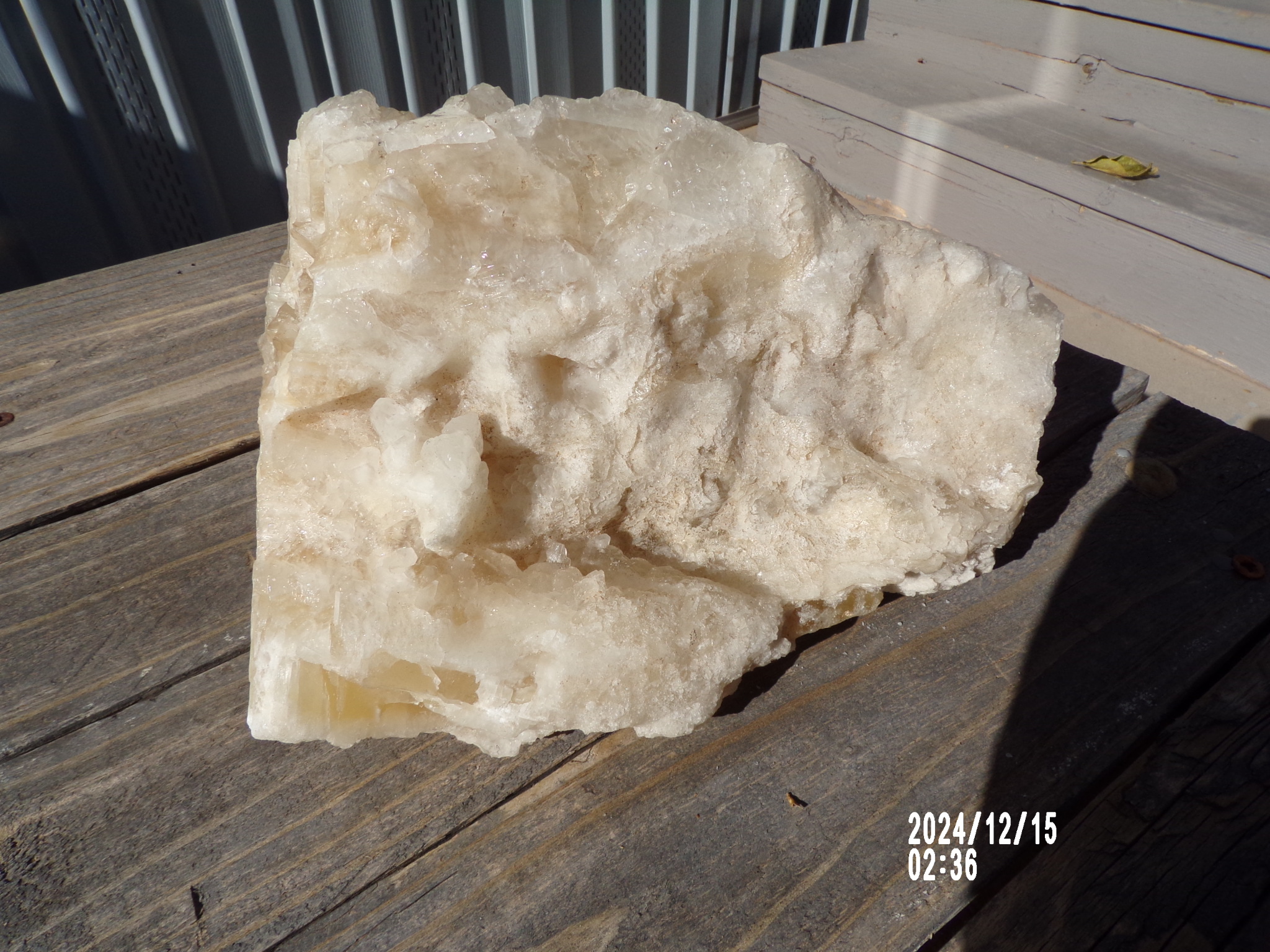 Large White Calcite Crystal w/ Halite -  Mexico Mined Mineral Collection