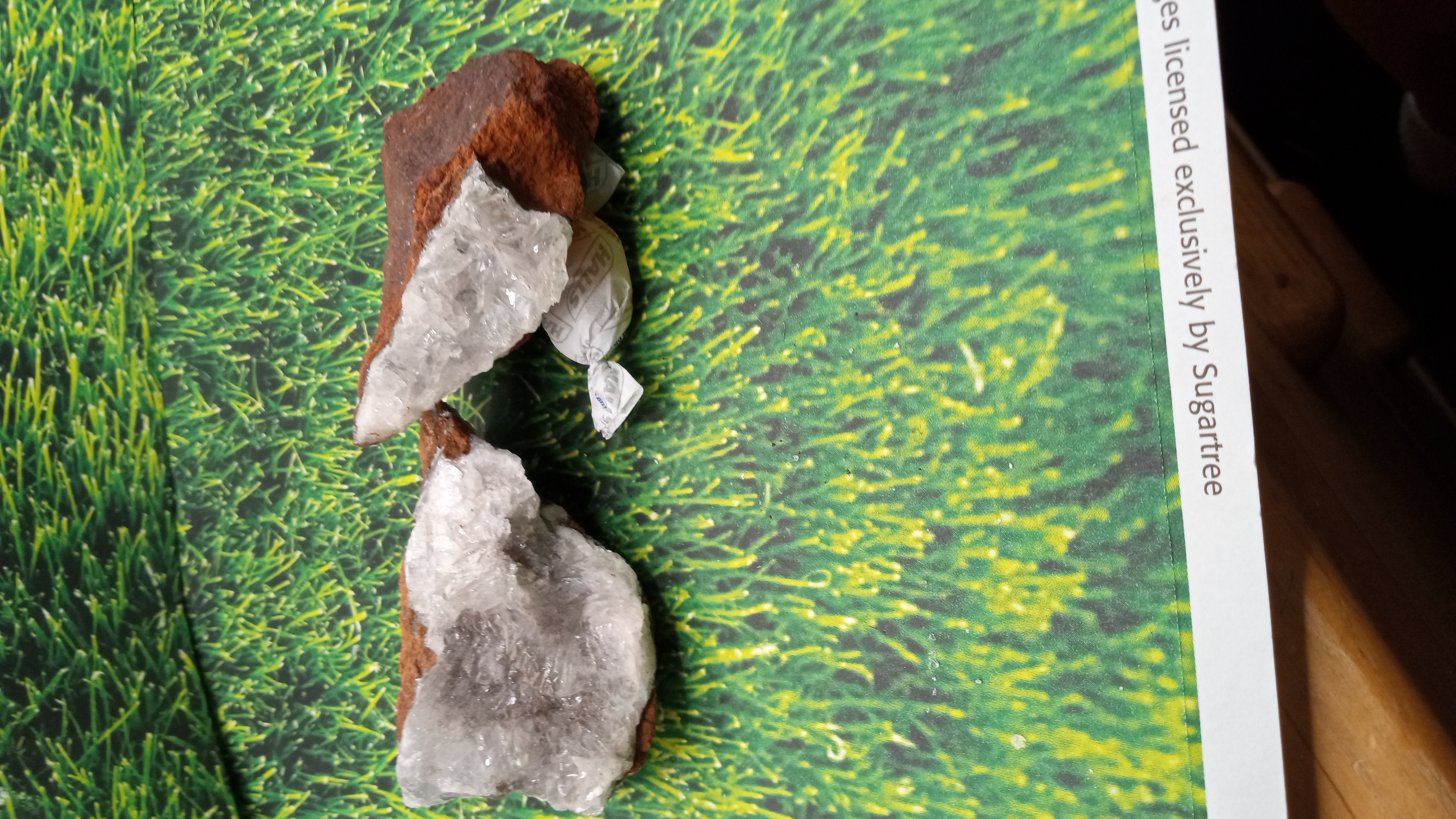 Hemimorphite ( 2 ) included ~ Mexico ~