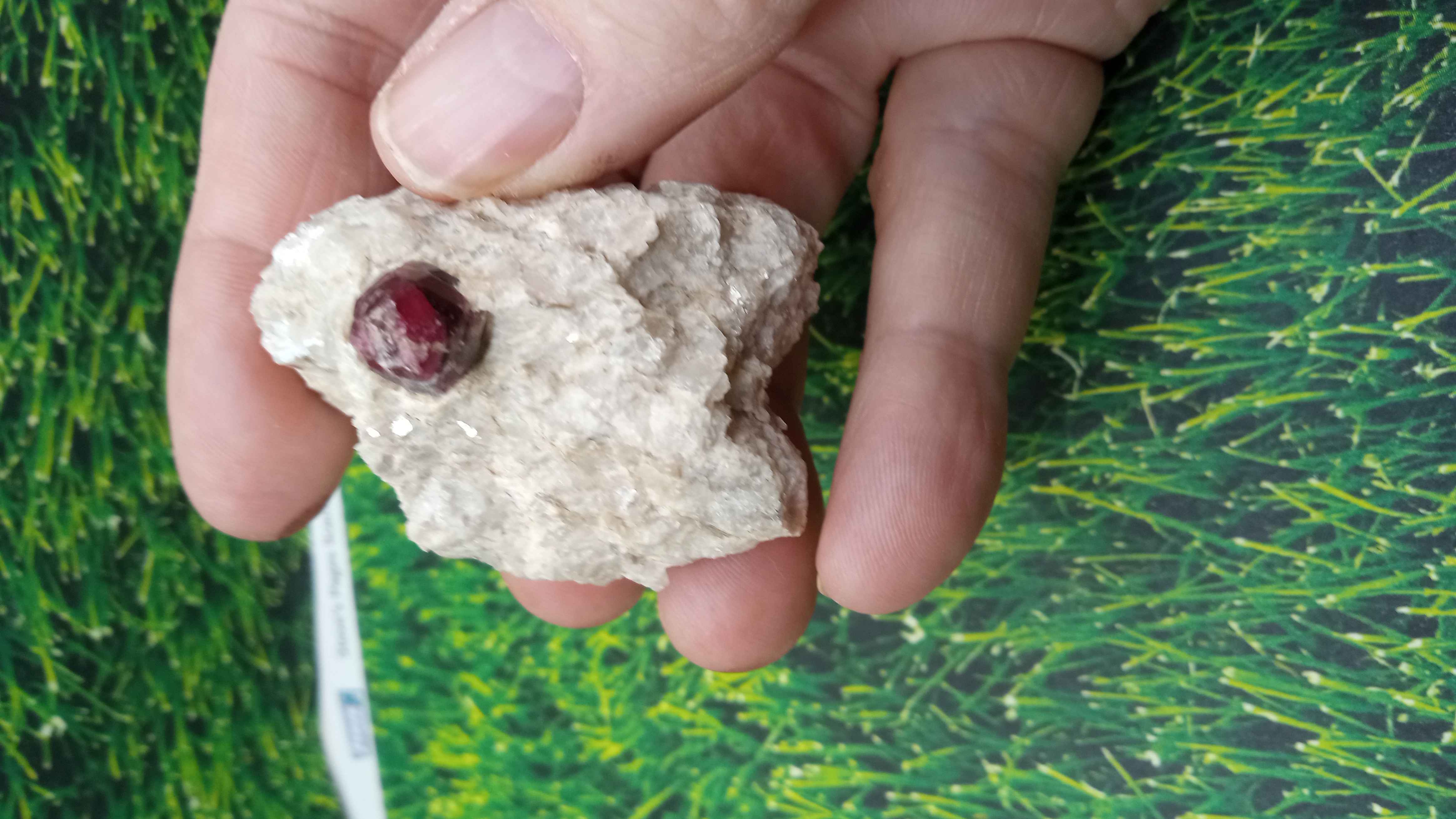 Almandine Garnet w/ Mica - Utah, USA