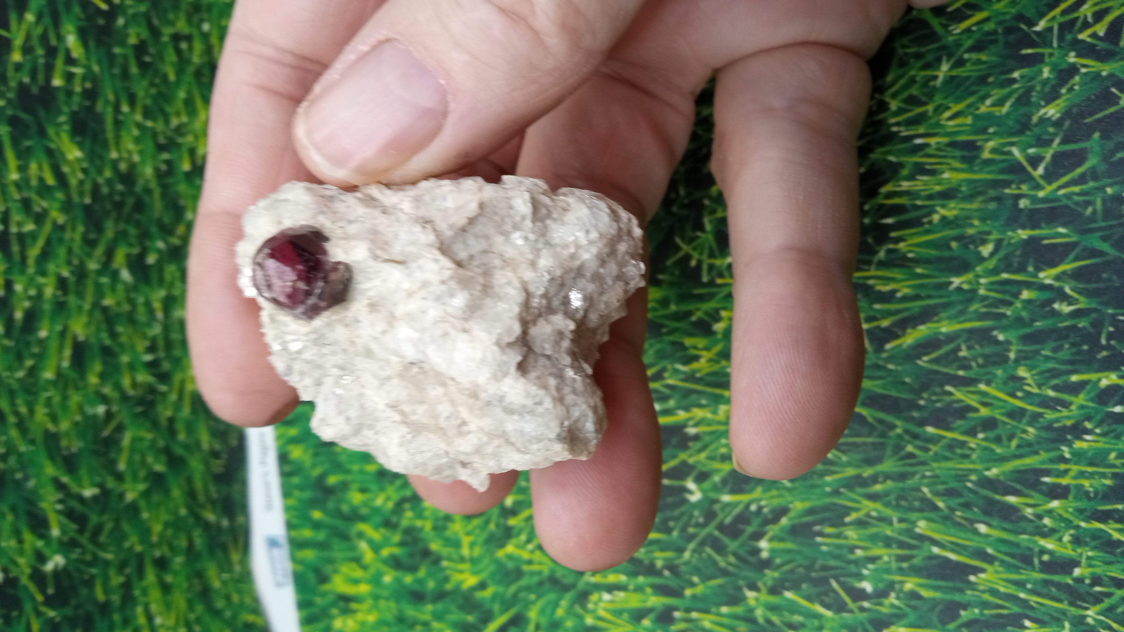 Almandine Garnet w/ Mica - Utah, USA