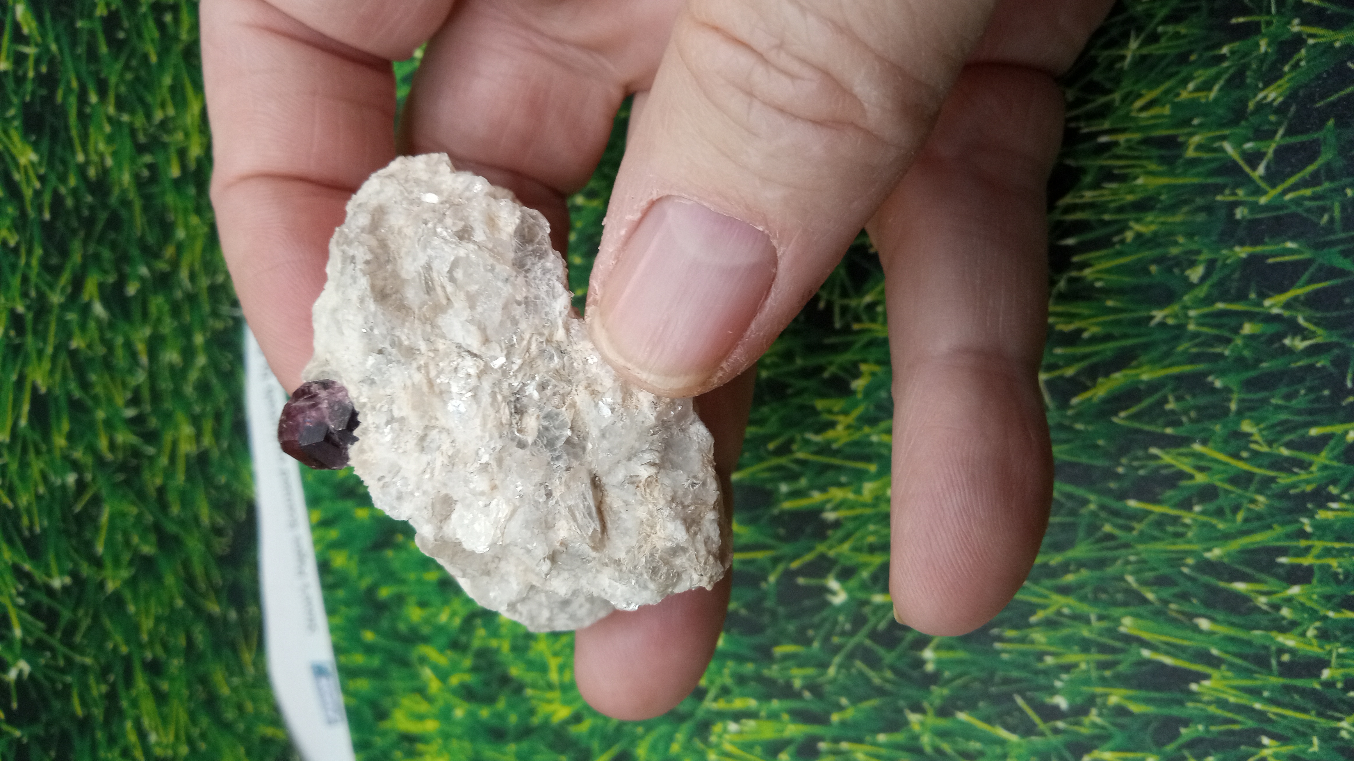 Almandine Garnet w/ Mica - Utah, USA