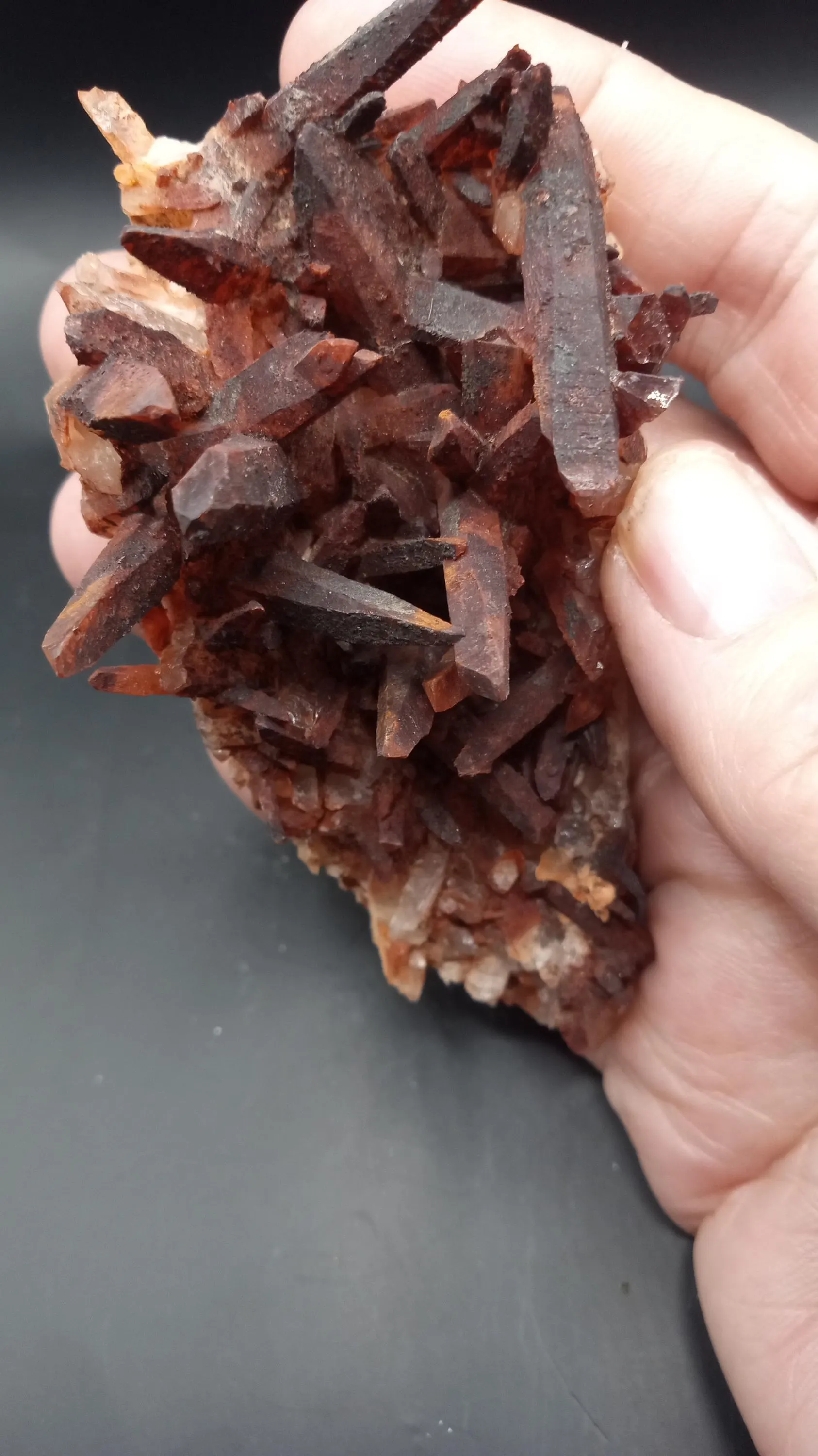 Stunning Display Specimen DONT MISS THIS ONE
