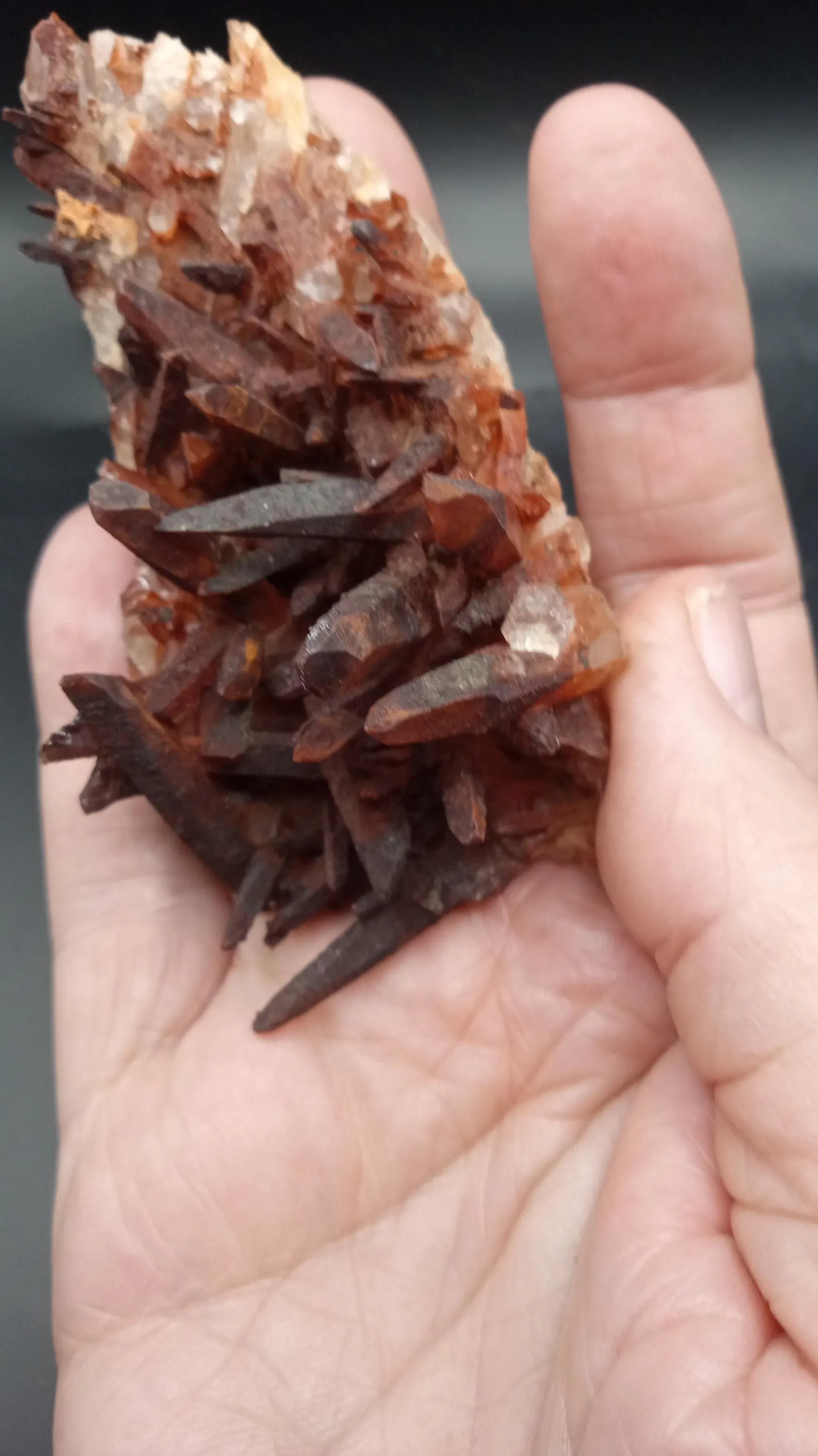 Stunning Display Specimen   DONT MISS THIS ONE