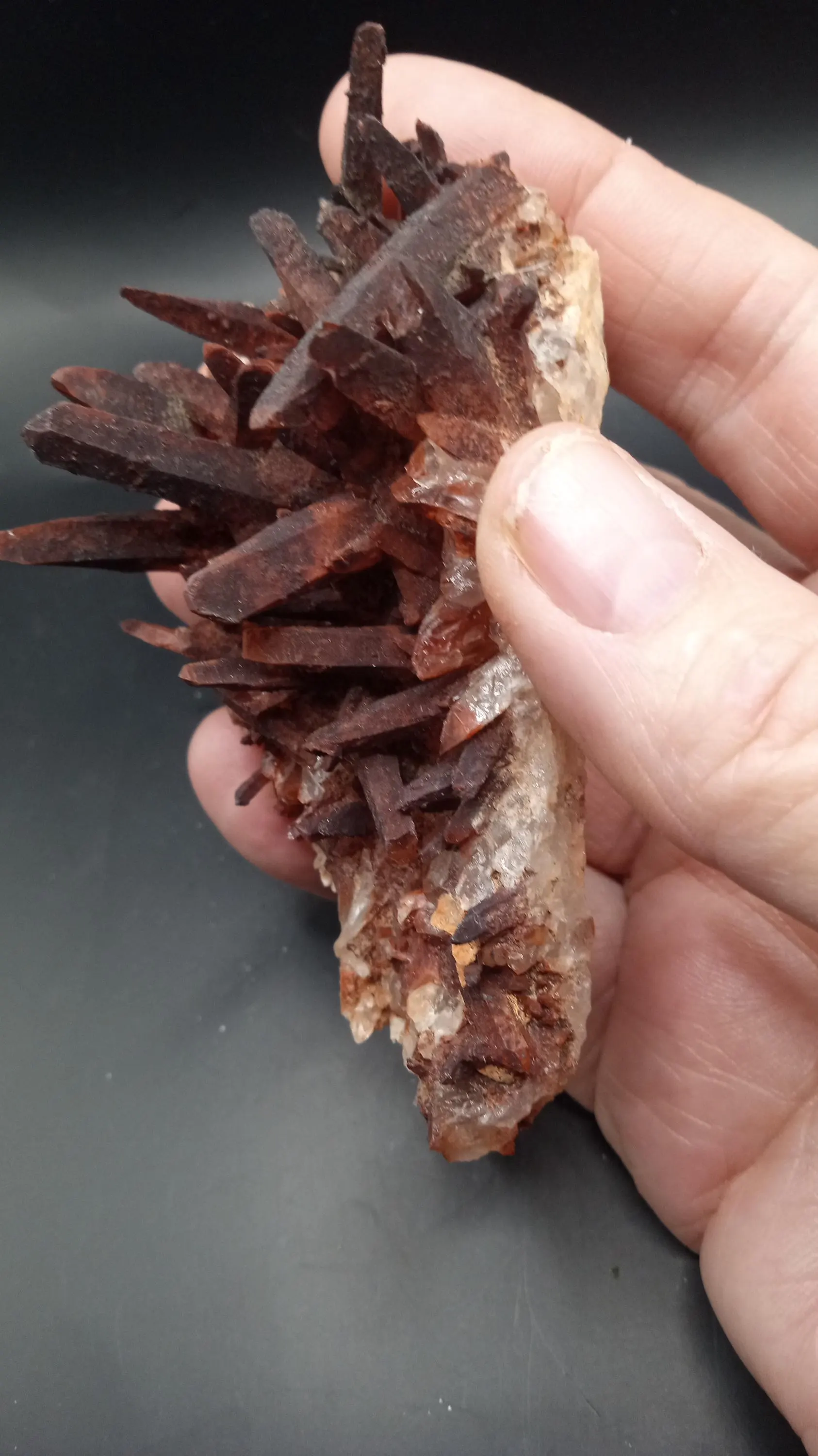 Stunning Display Specimen   DONT MISS THIS ONE