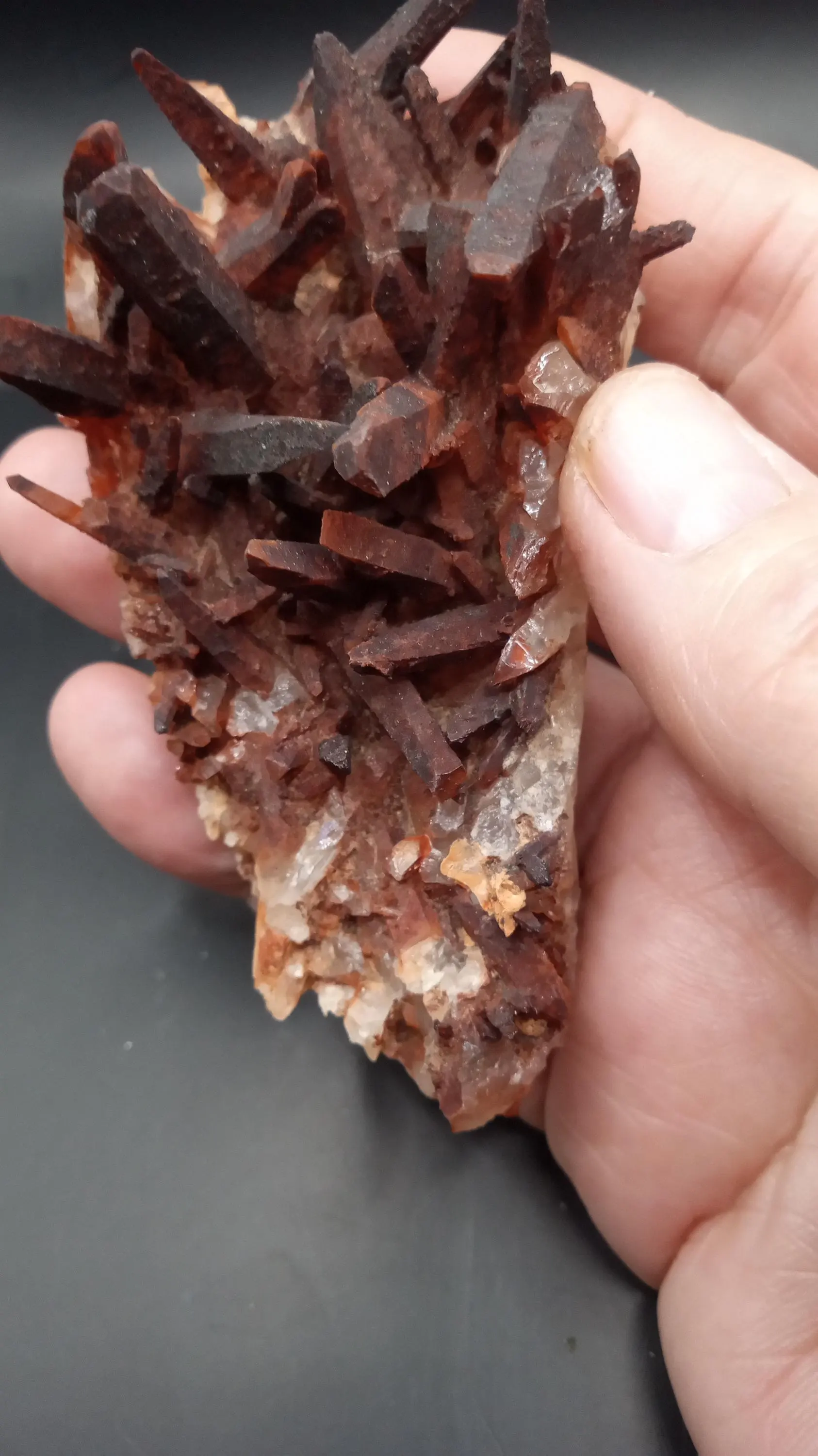 Stunning Display Specimen   DONT MISS THIS ONE