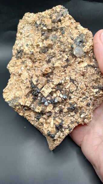 Magnetite on Sandstone - South Africa -