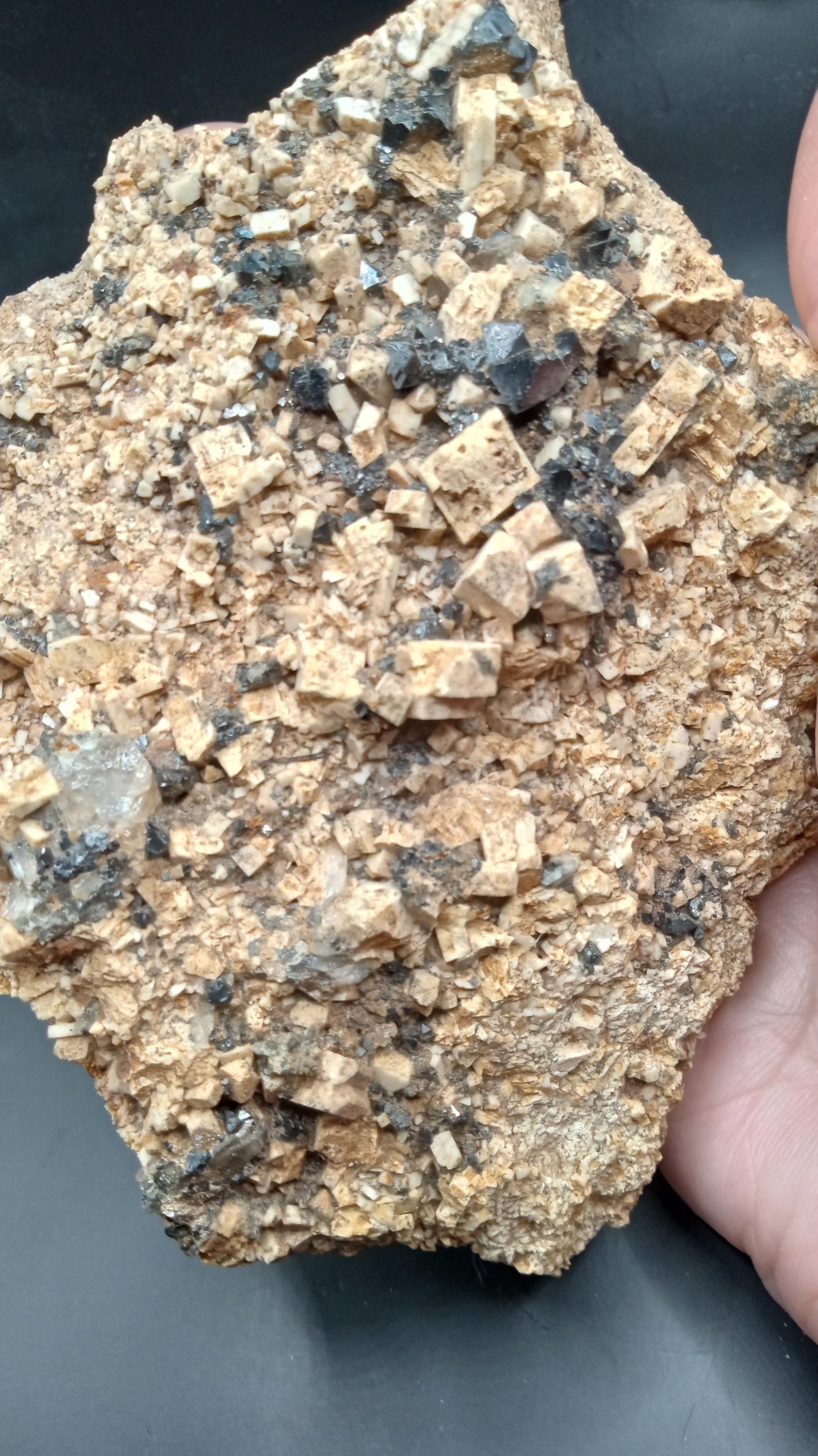 Magnetite on Sandstone - South Africa -