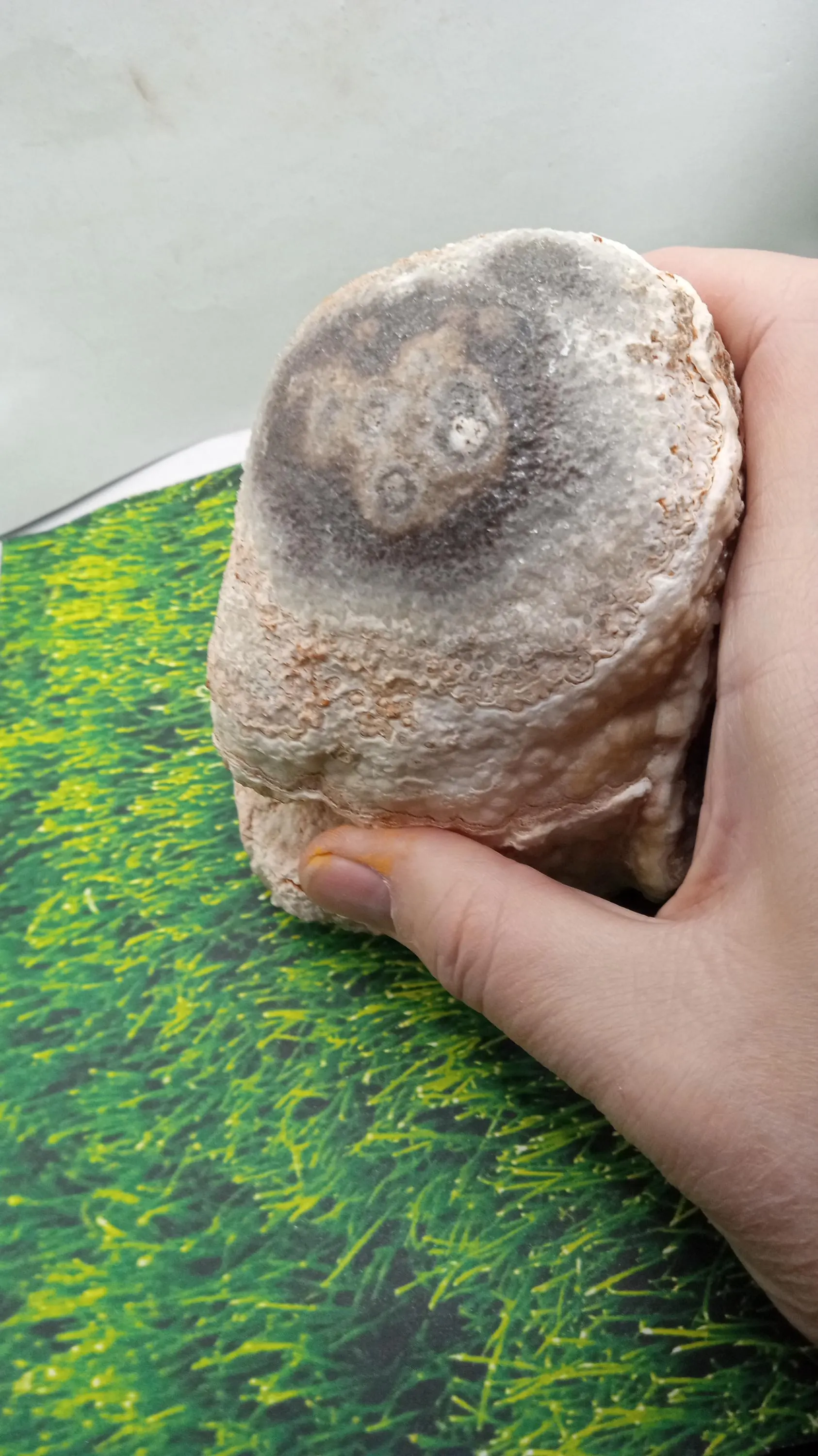Stalagmite Top - Calcite ~3lbs 4 oz
