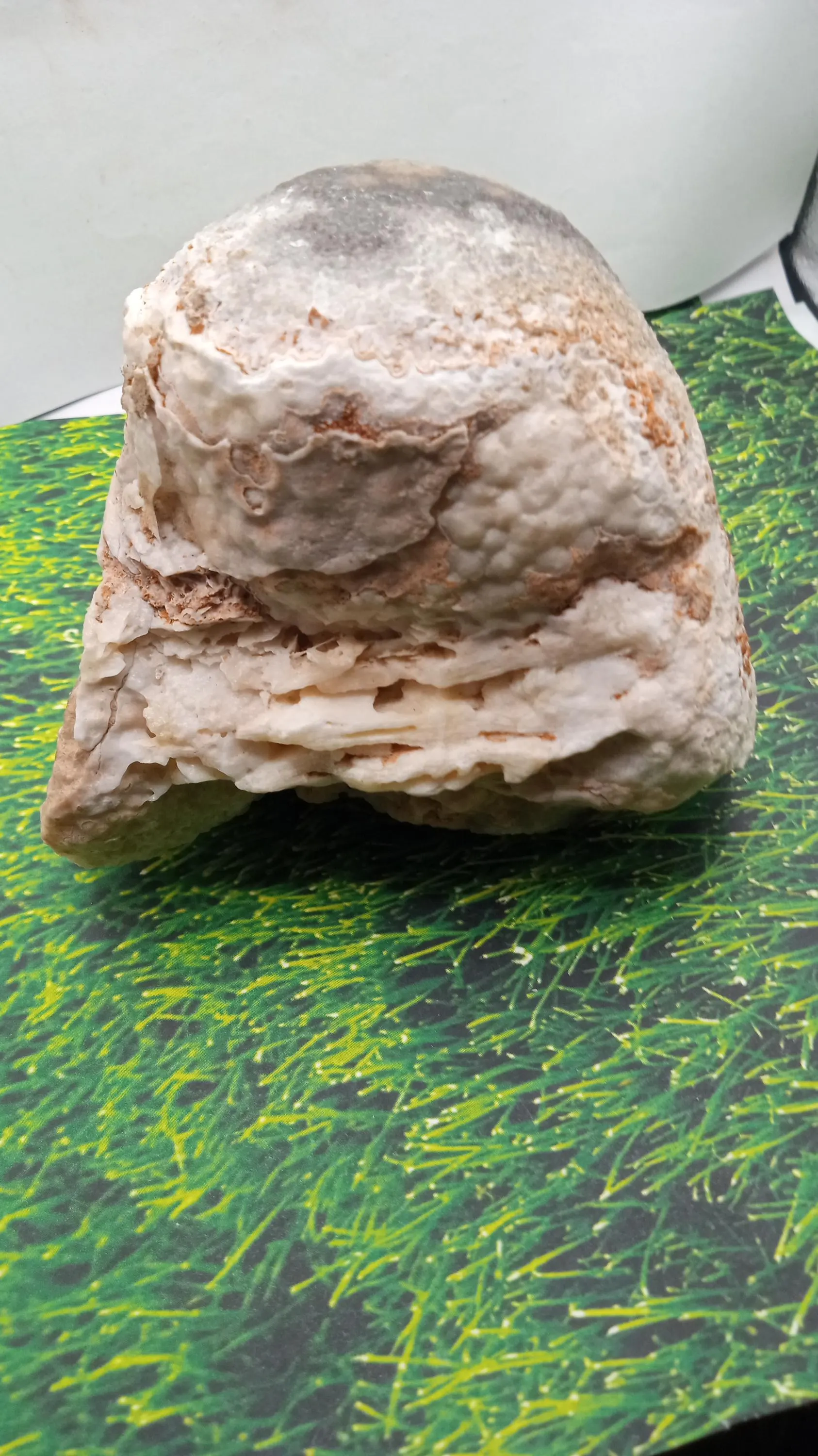 Stalagmite  Top - Calcite ~3lbs 4 oz