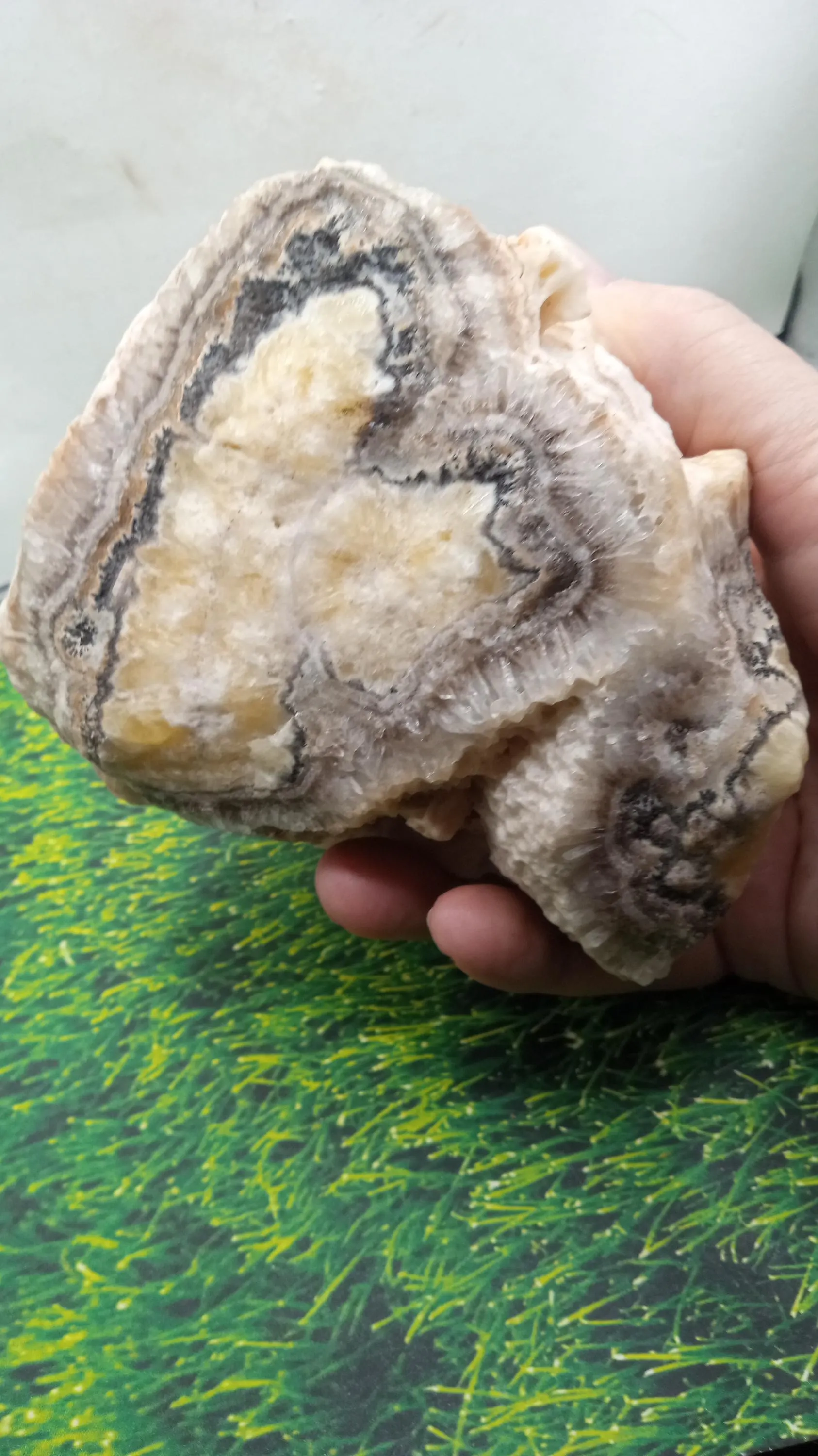 Stalagmite  Top - Calcite ~3lbs 4 oz