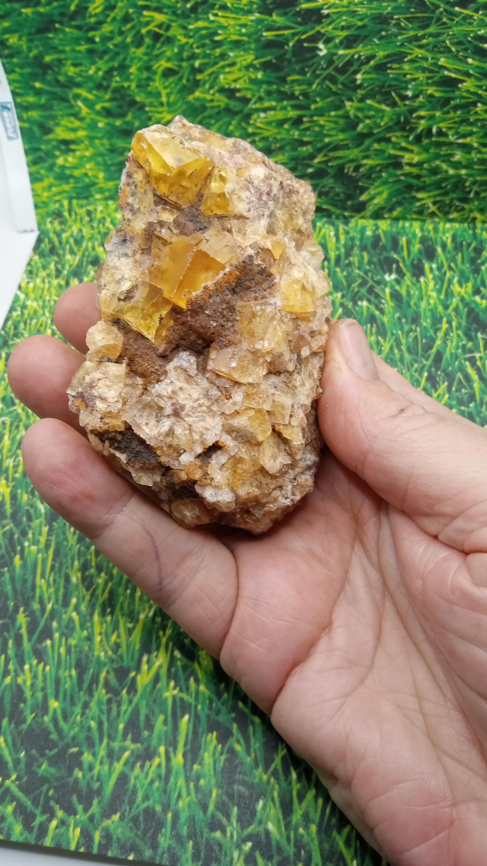 Yellow Calcite Cool Rare Find Mineral Specimen 