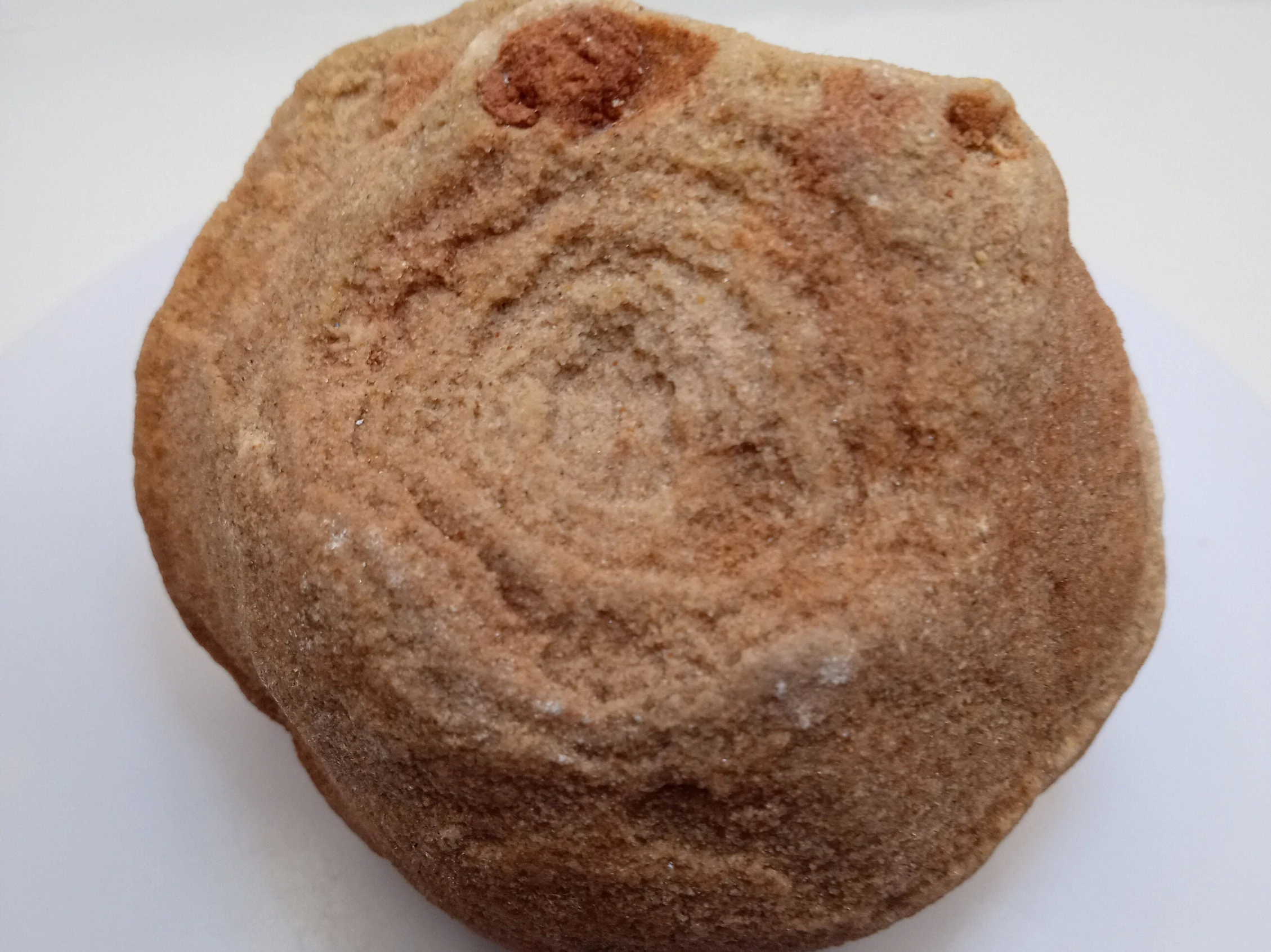 Stromatolites are the layered trace fossils of microbial life,