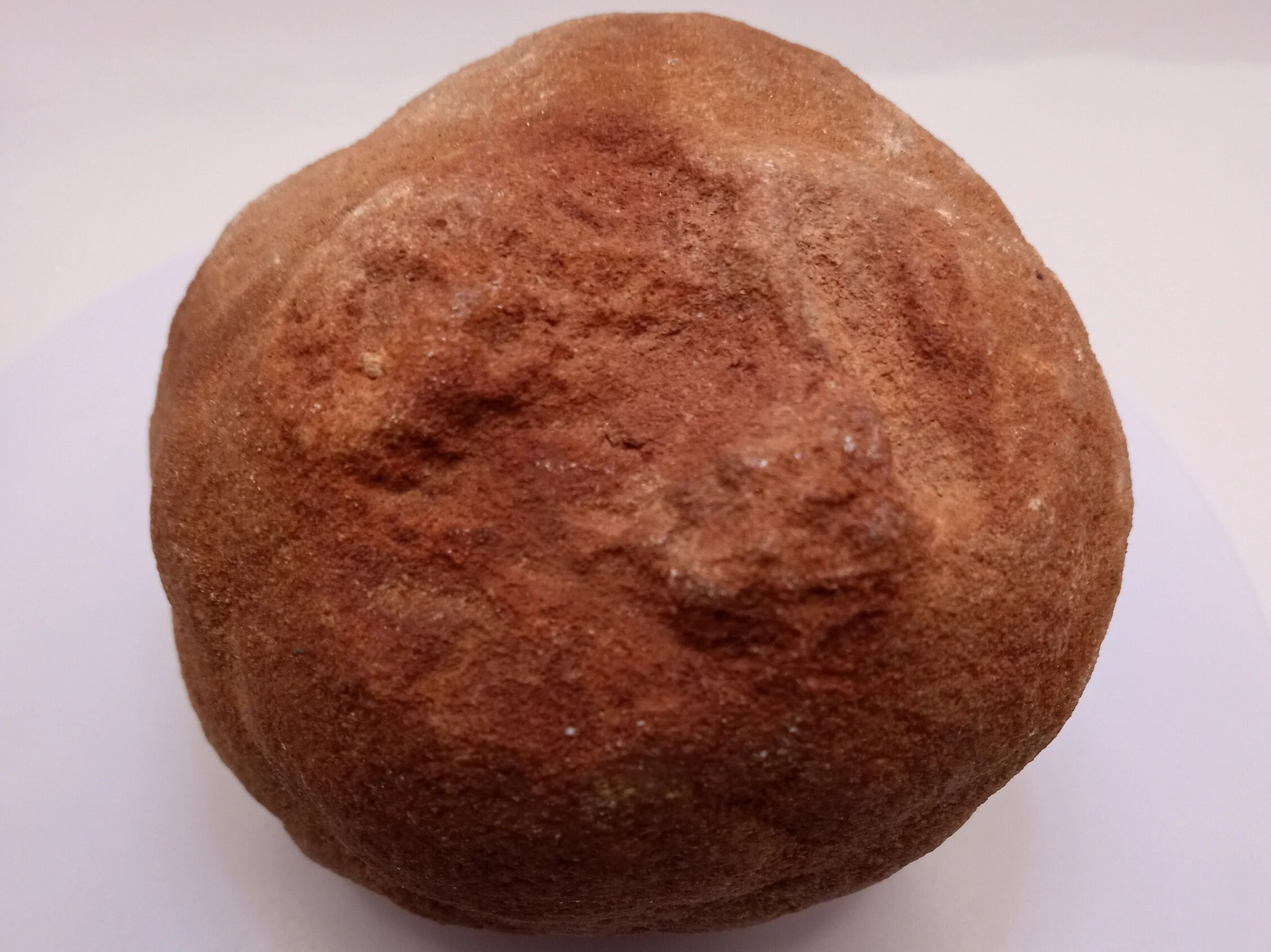 Stromatolites are the layered trace fossils of microbial life,