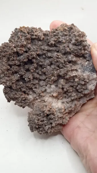 Brown Aragonite Crystals w/ Jasper