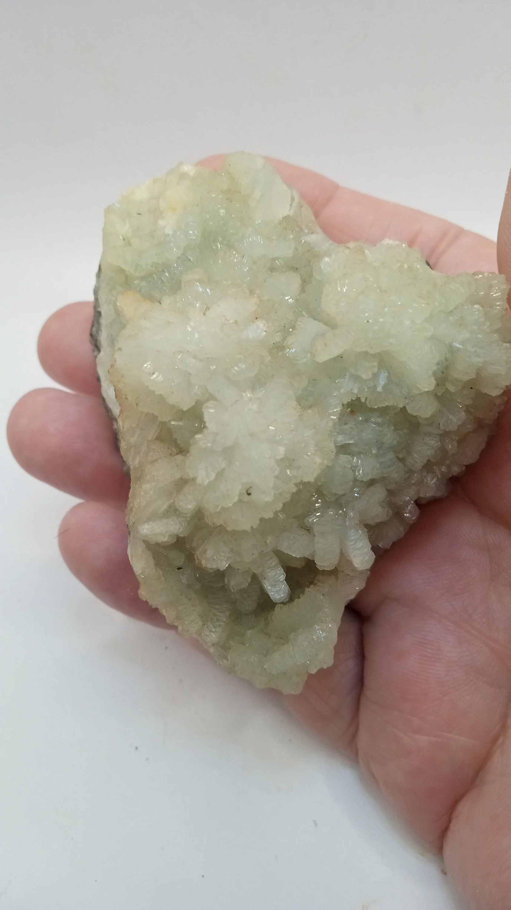 Beautiful Prehnite Cluster Specimen 