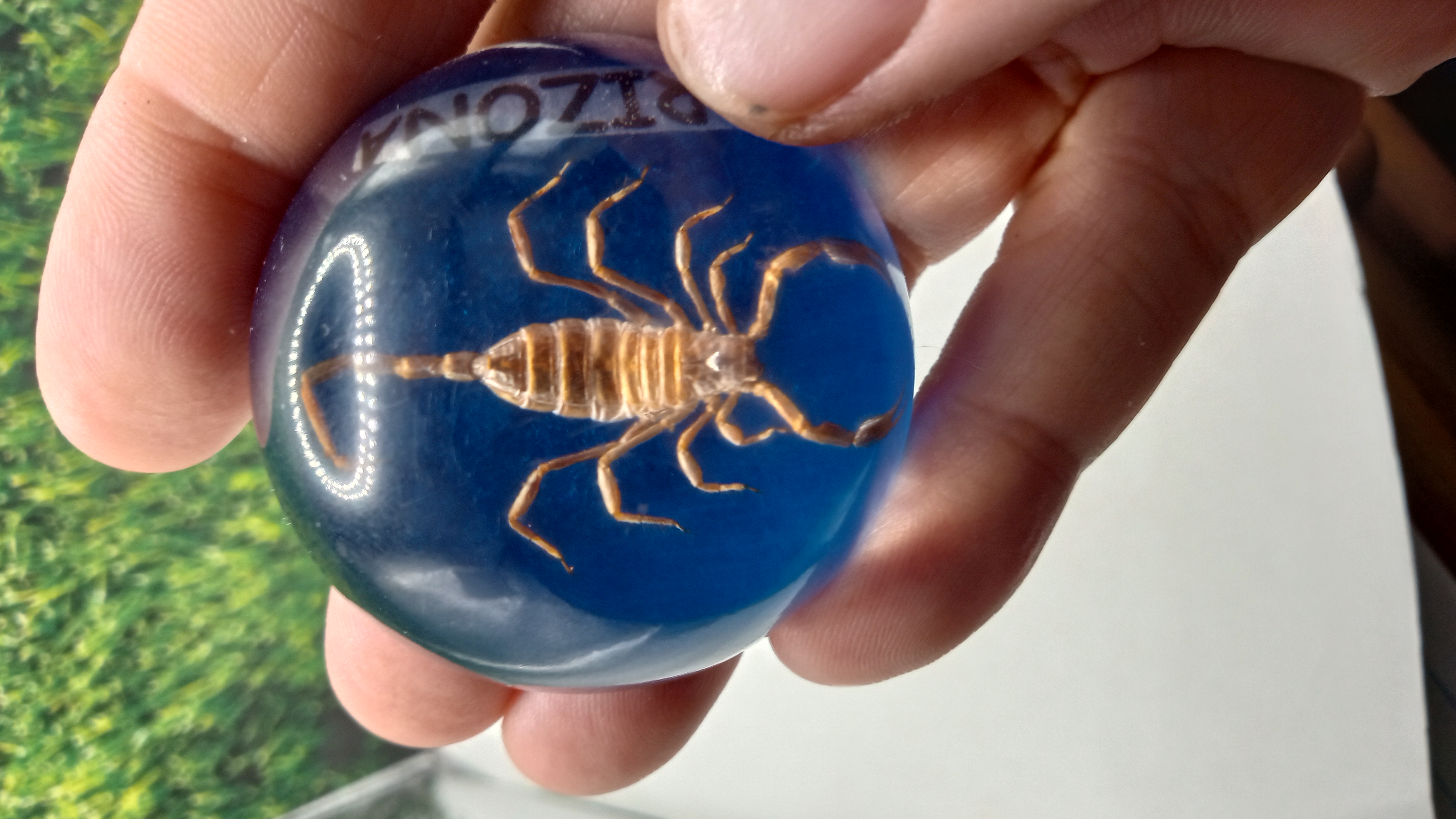Desert Scorpion - Unique Archnids,, ( 3 ) Included -